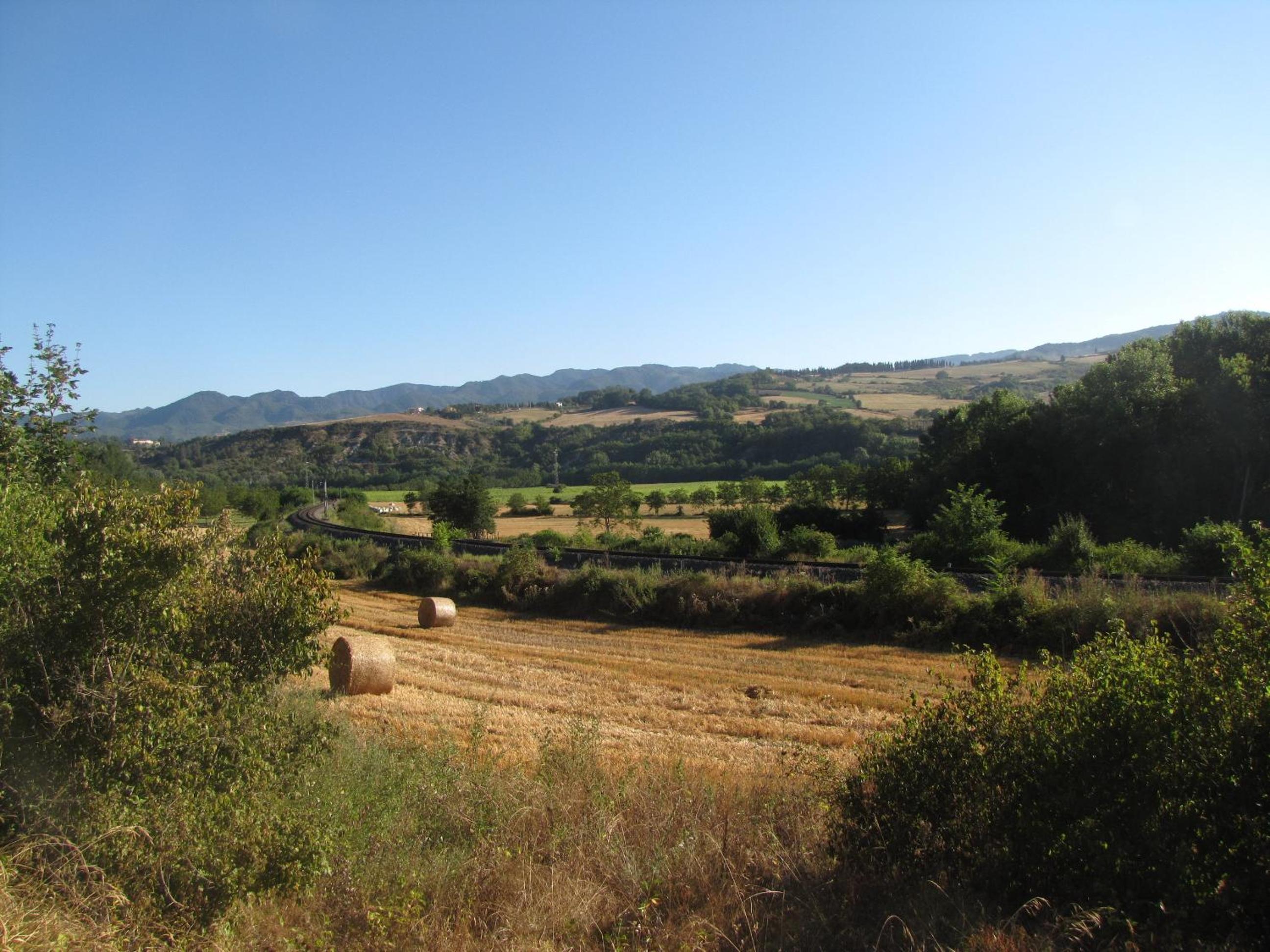 Photo 48