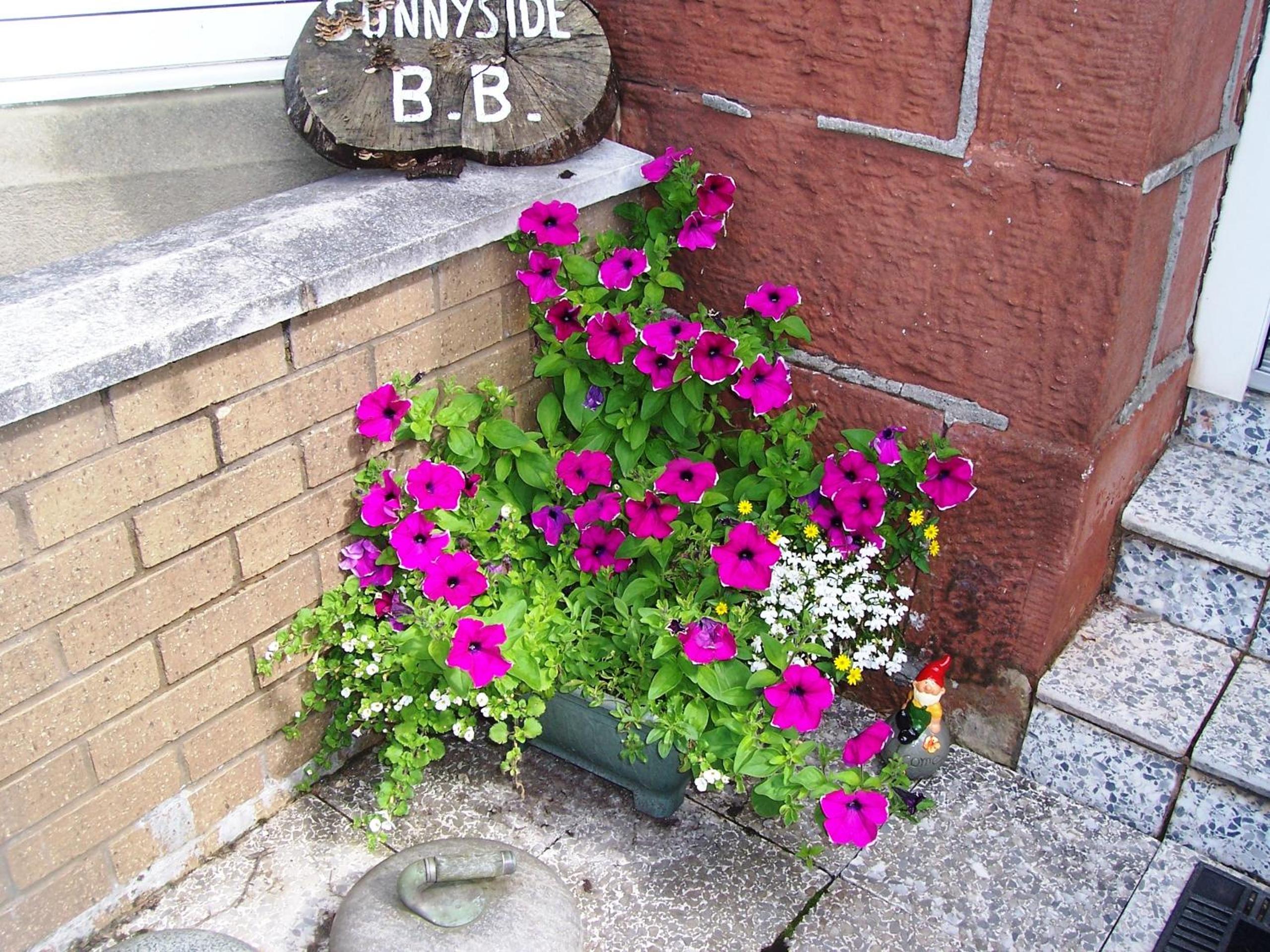 Photo 31