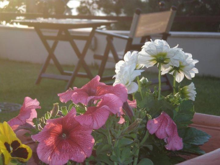 Smaragdi Luxury Apartments