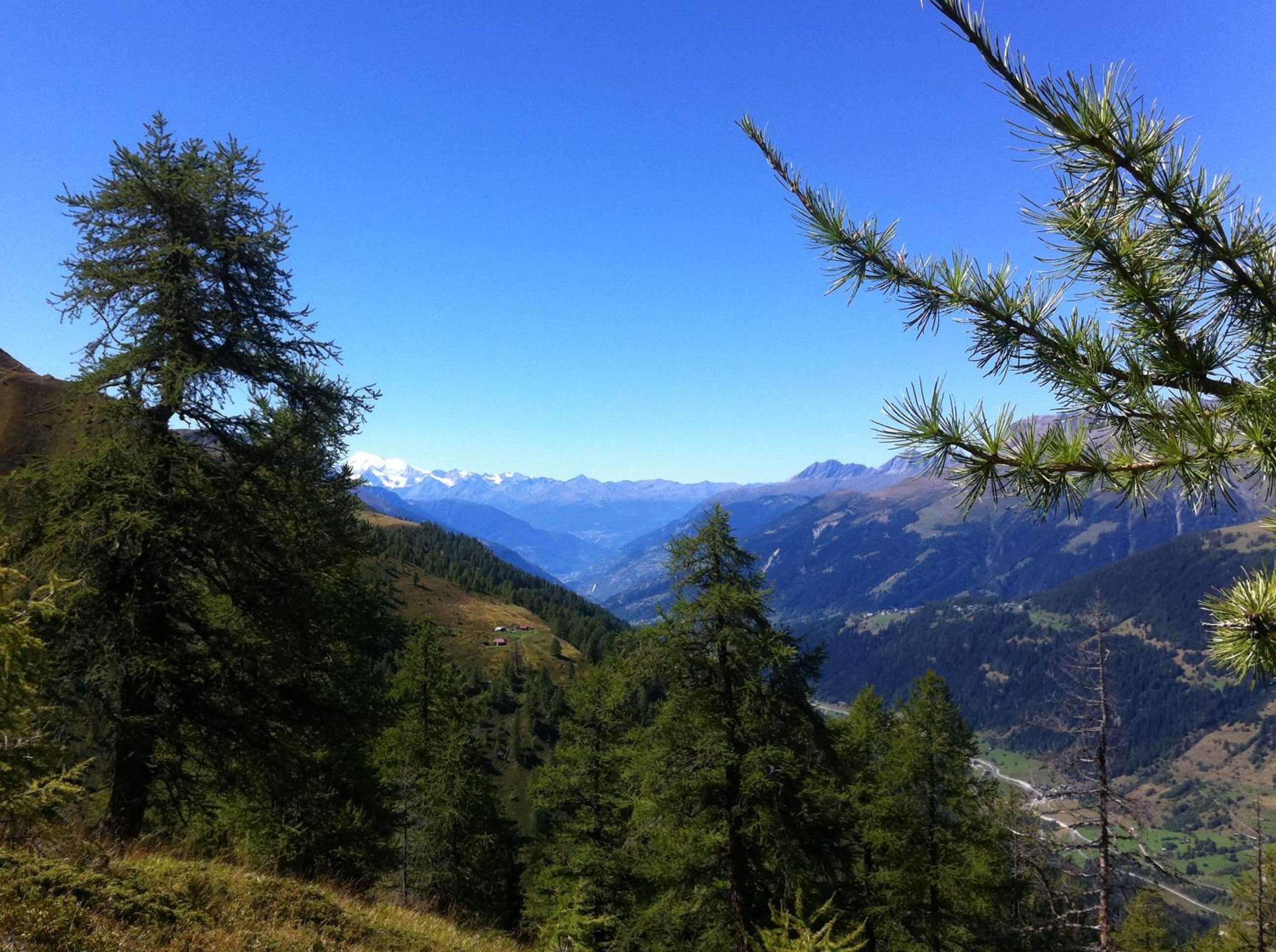 Chalet Truffer Ulrichen view 2