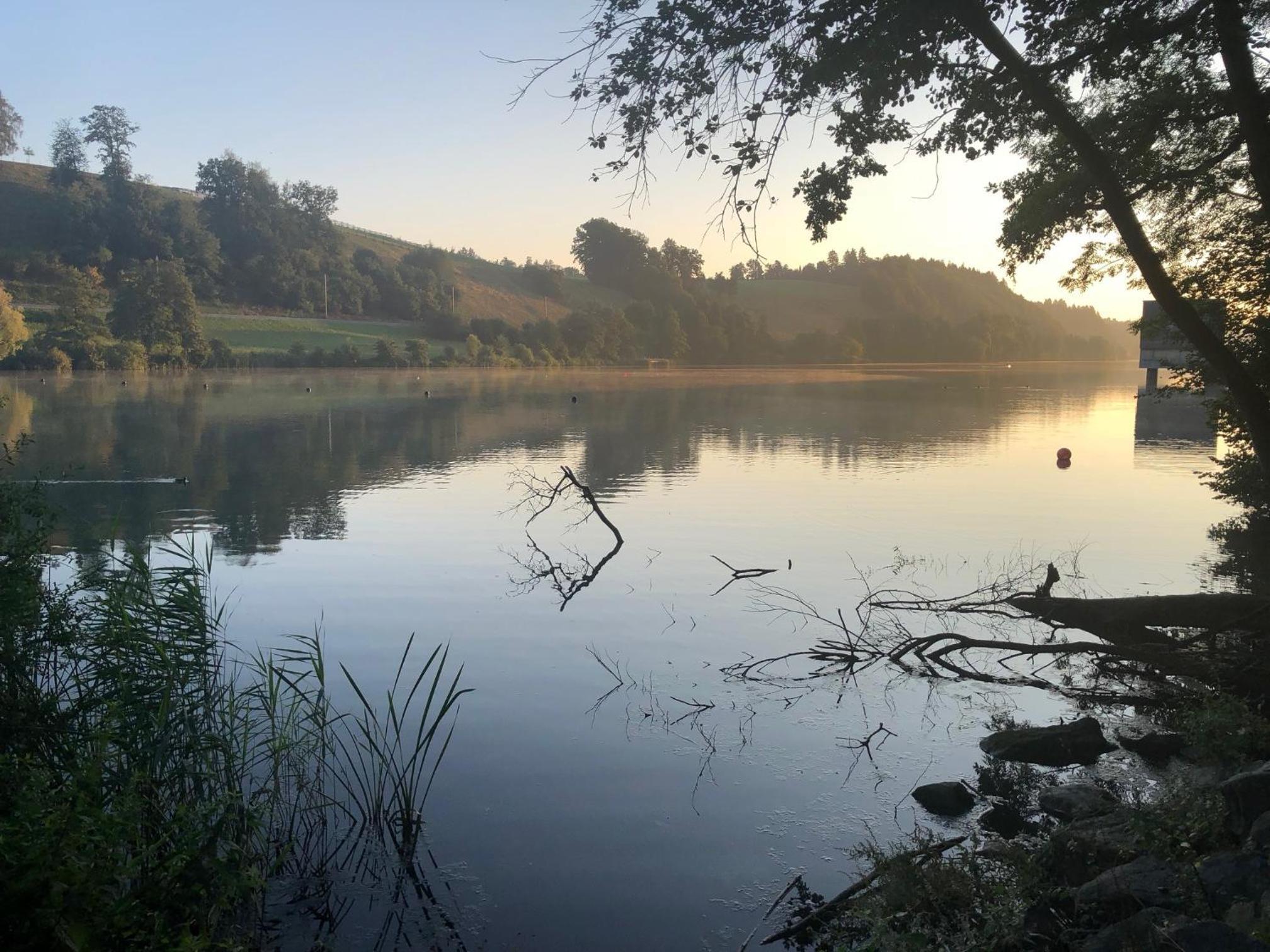 Charming Studio near Rotsee Lucerne Kitchen, WiFi, Washing machine view 2