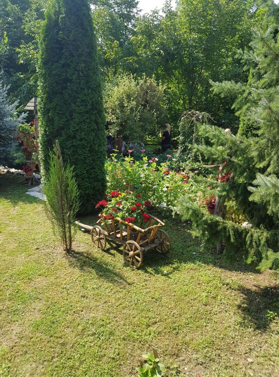 Photo 48