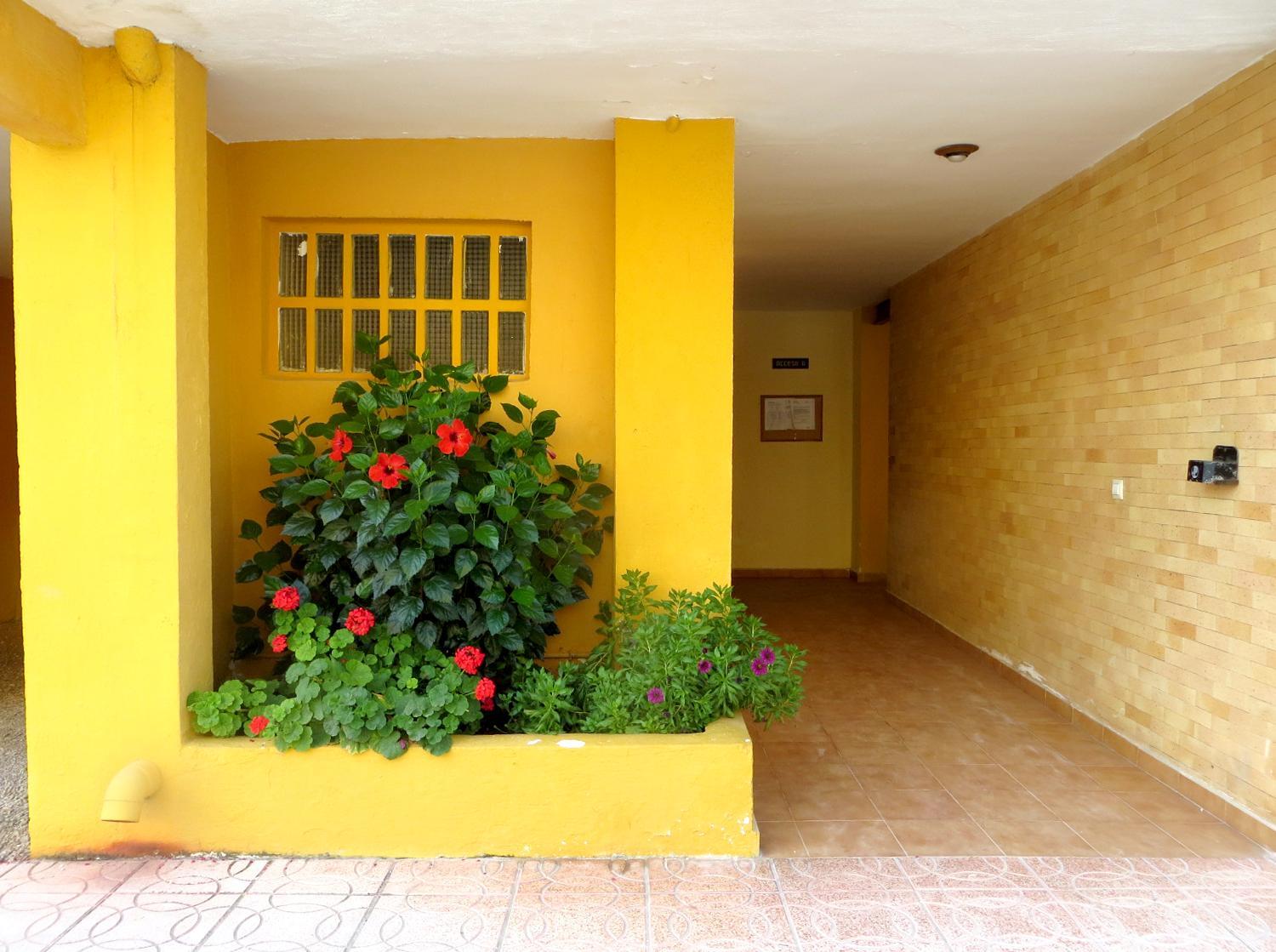 2 bedroom apartment L'Ancora in the Arenal Beach view 4