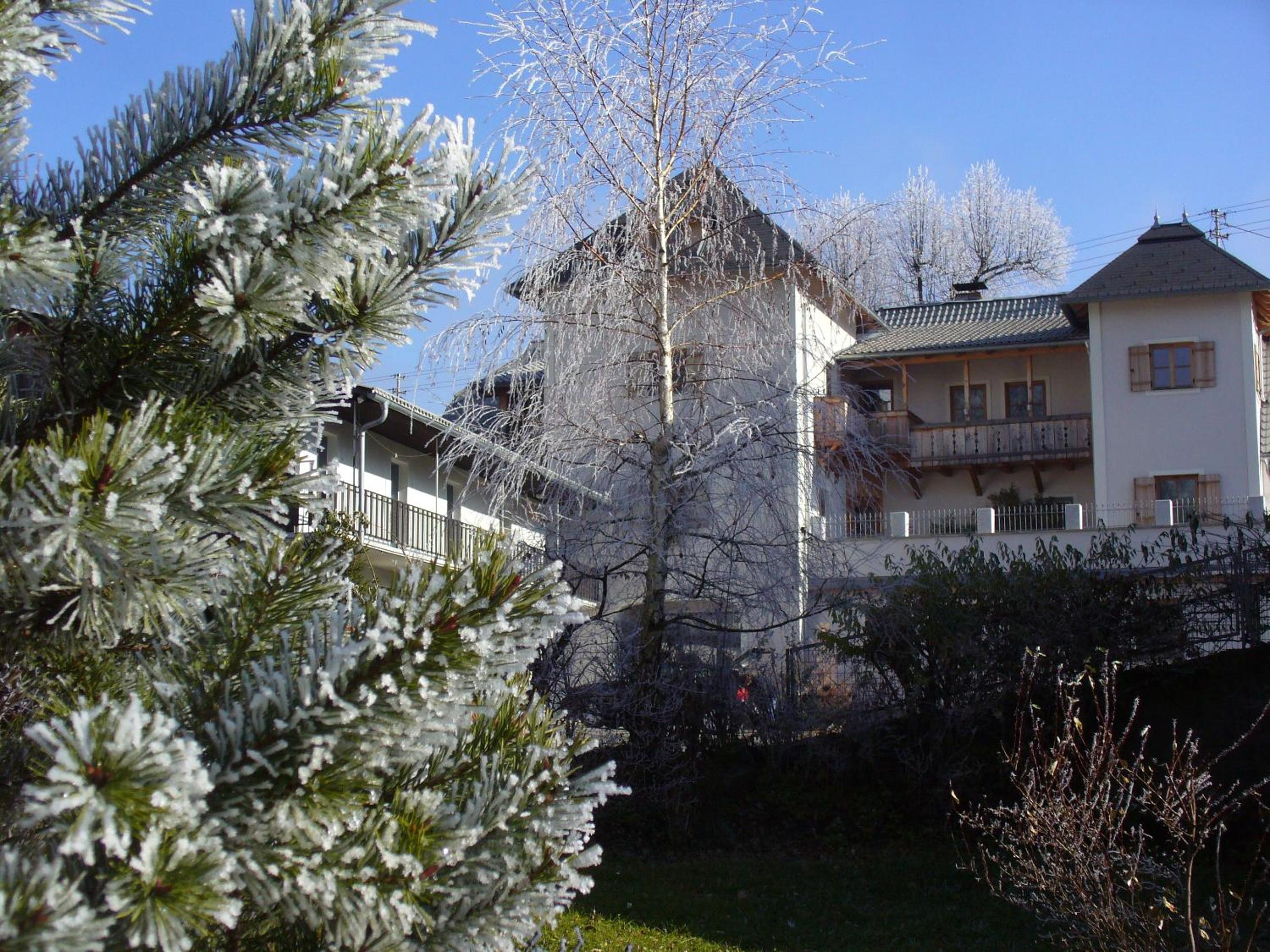 Photo 46