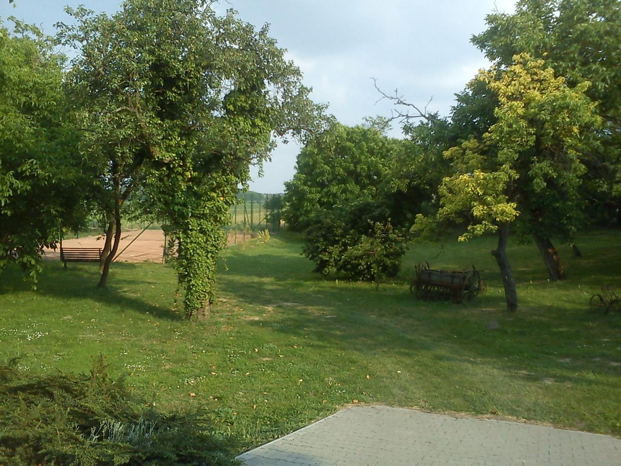 Photo 15