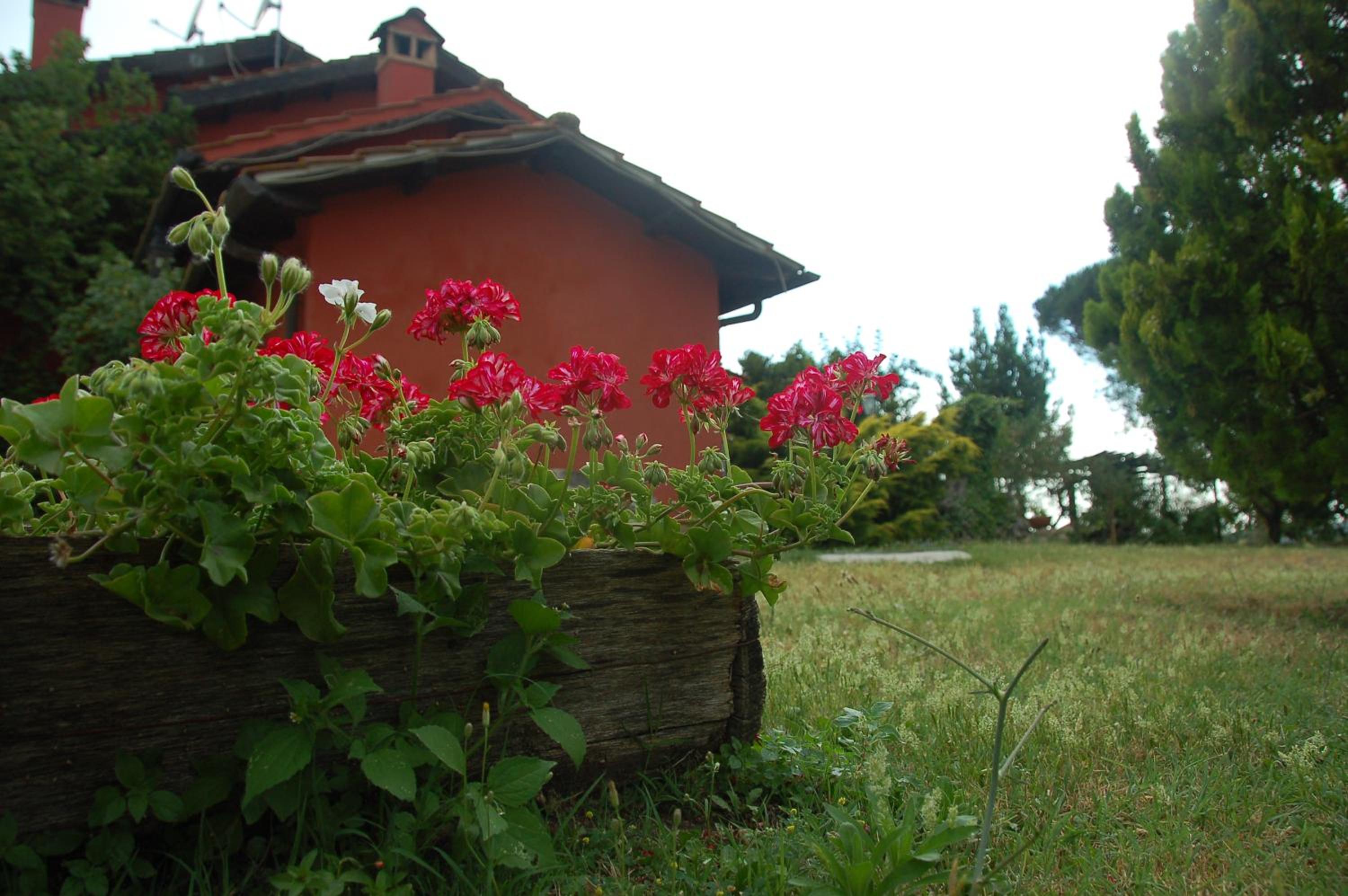 Tenuta Merlano