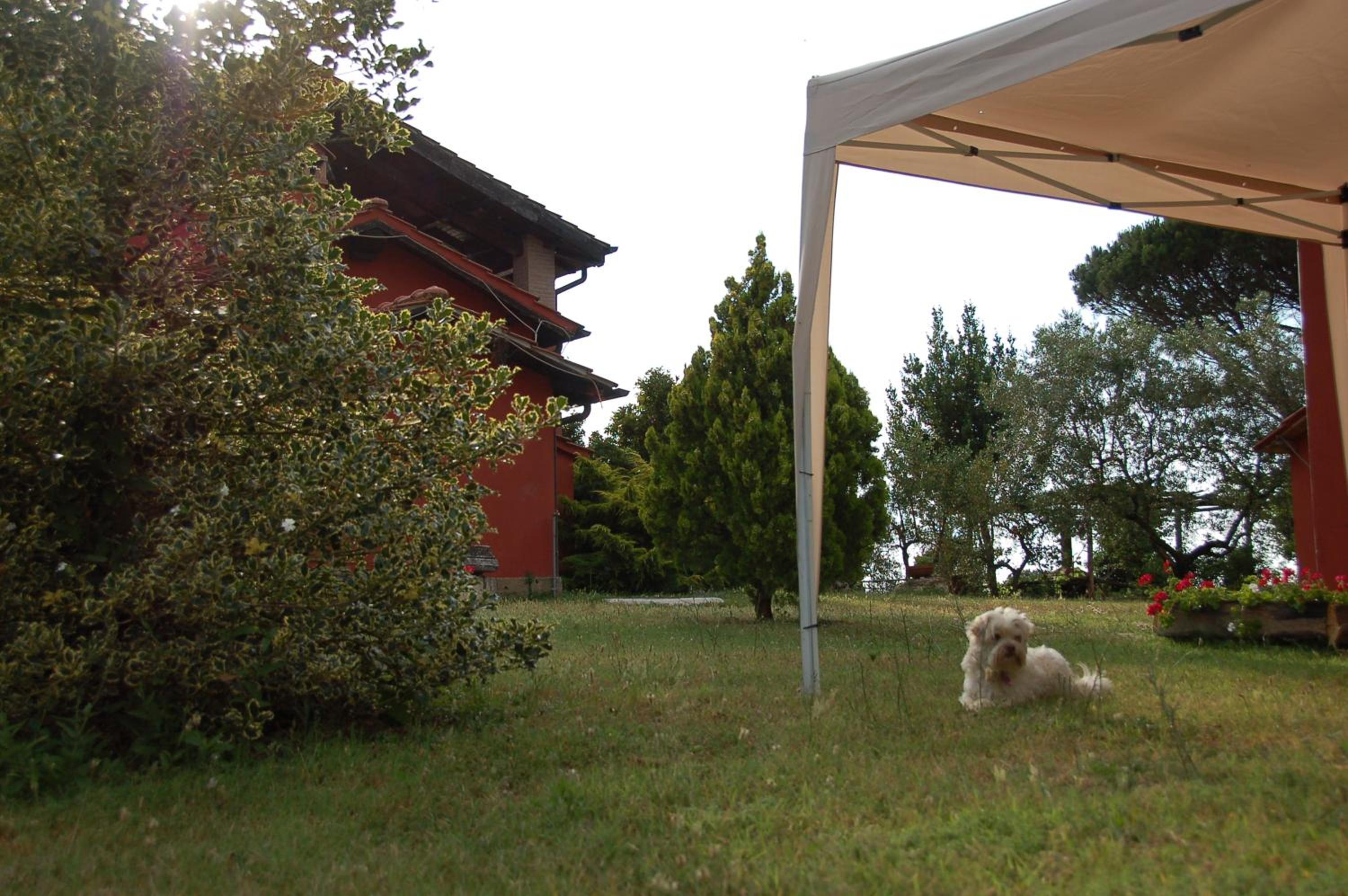 Tenuta Merlano