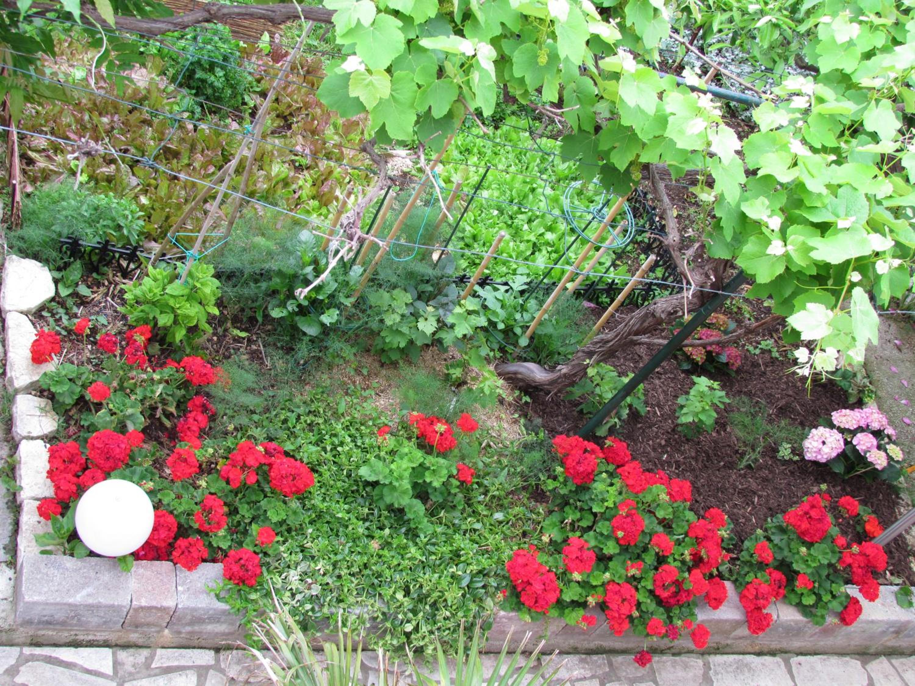 Photo 71