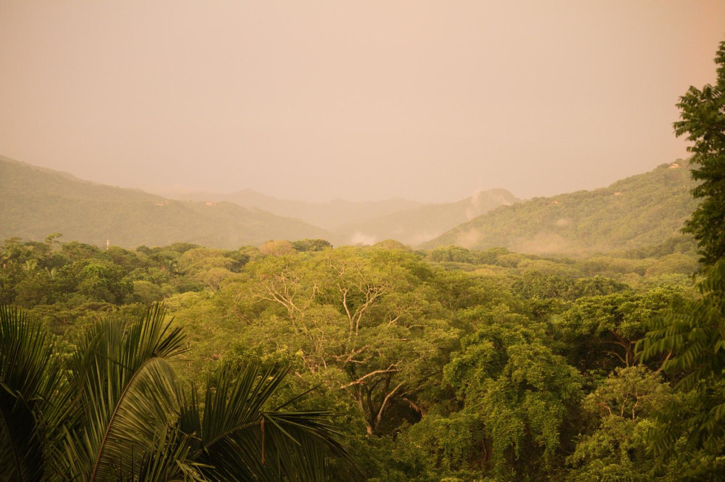 Nosara Sunrise Bed and Breakfast