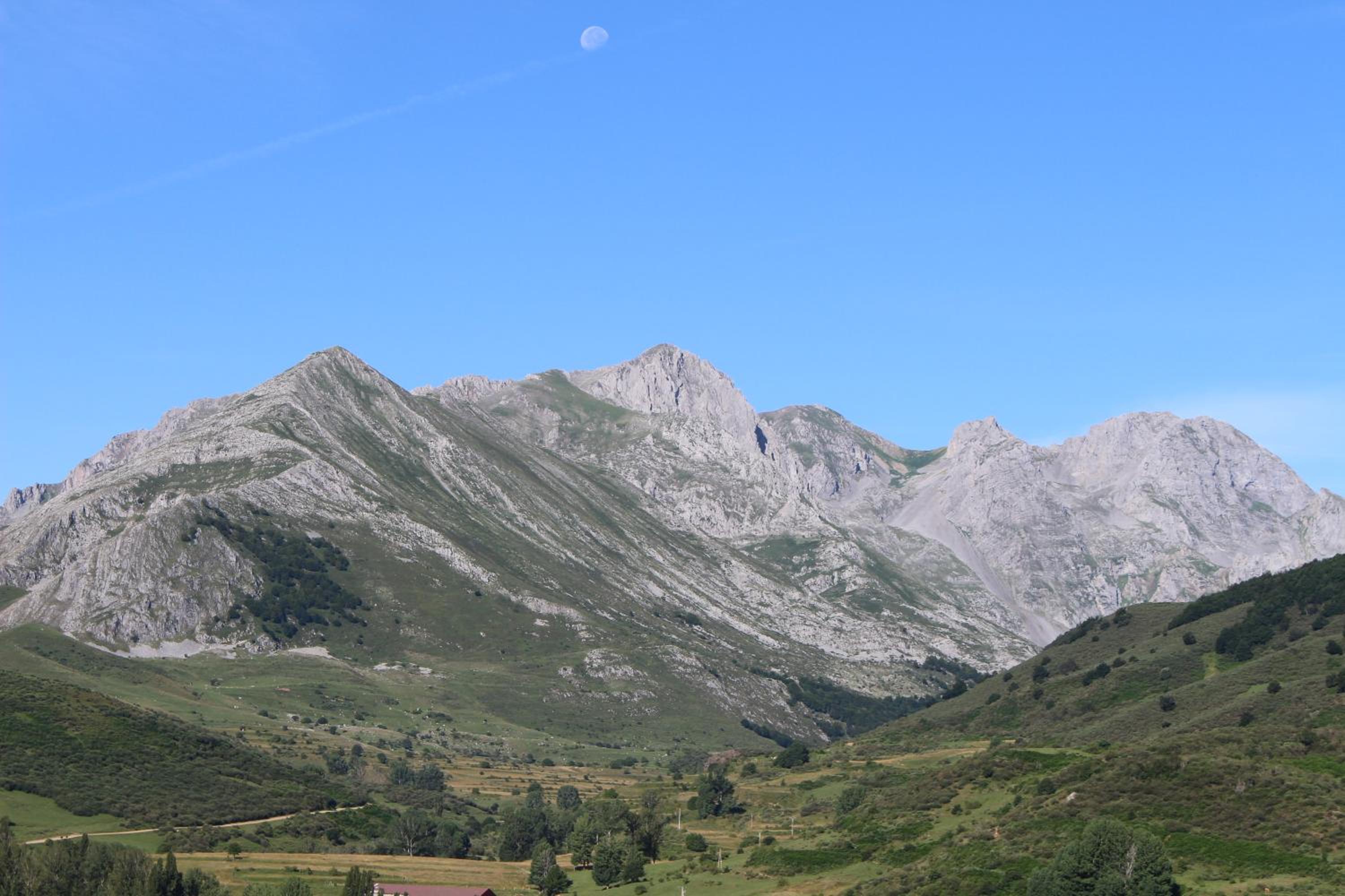 Photo 24