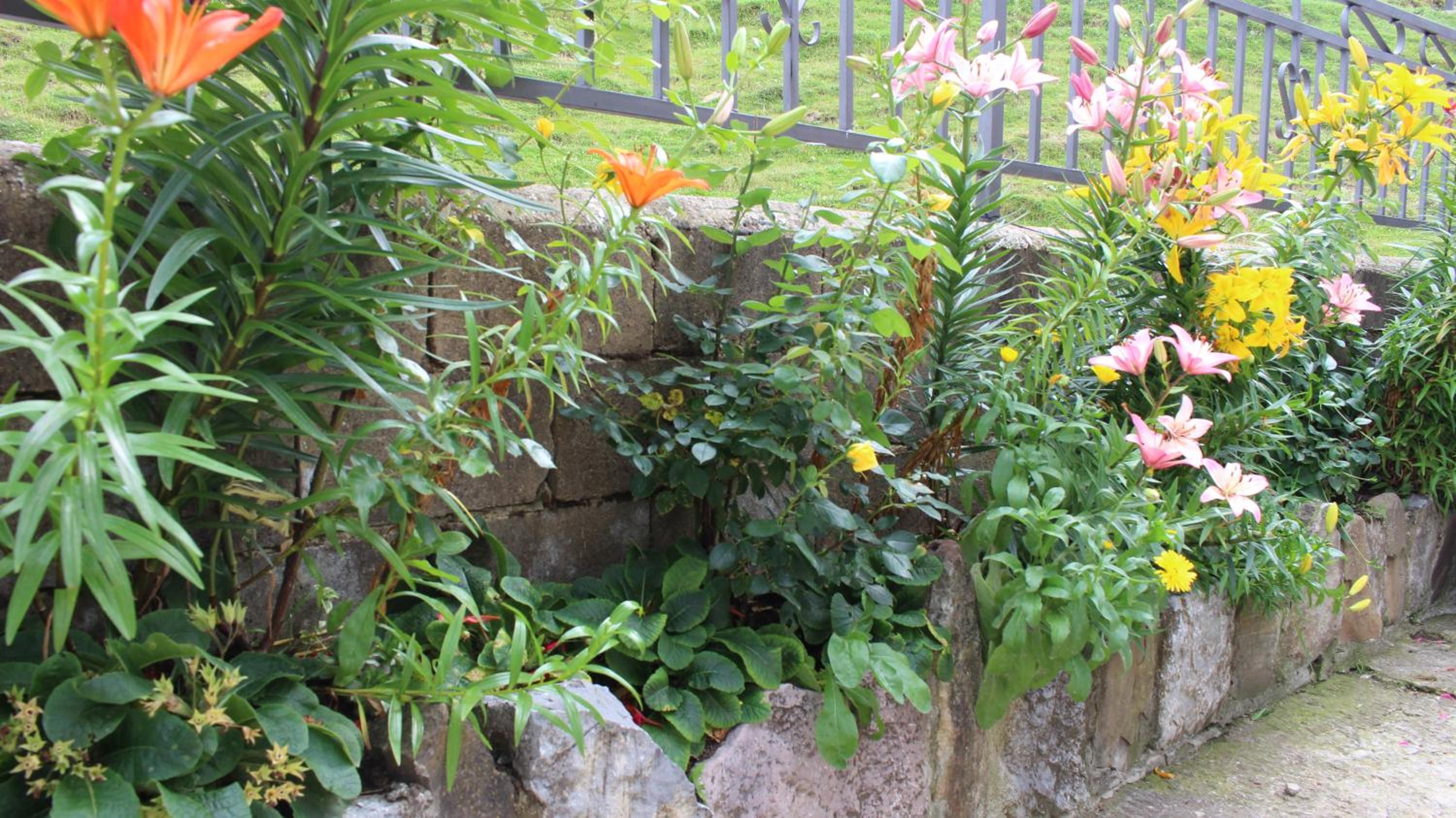 Photo 32