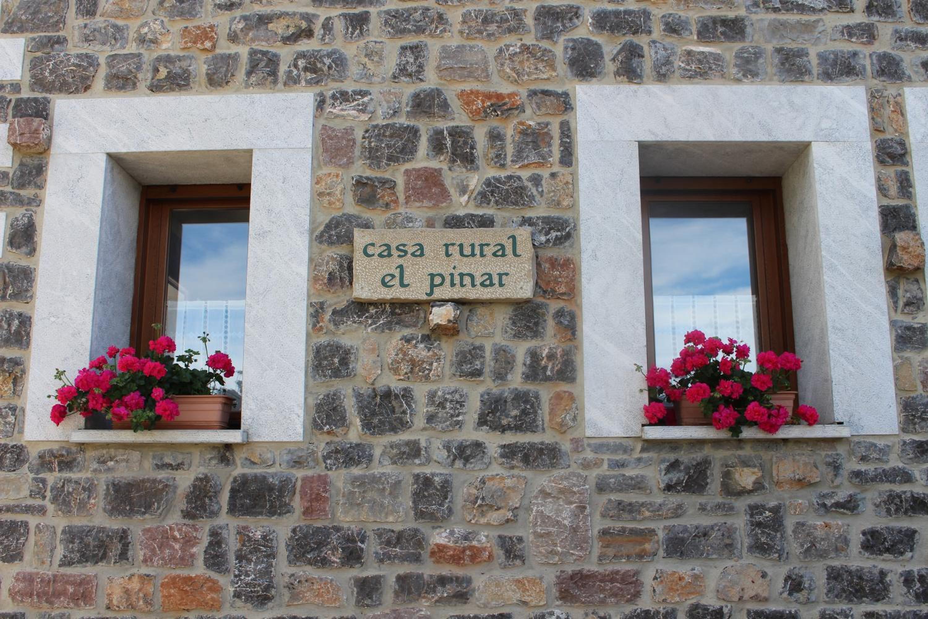 Photo 42