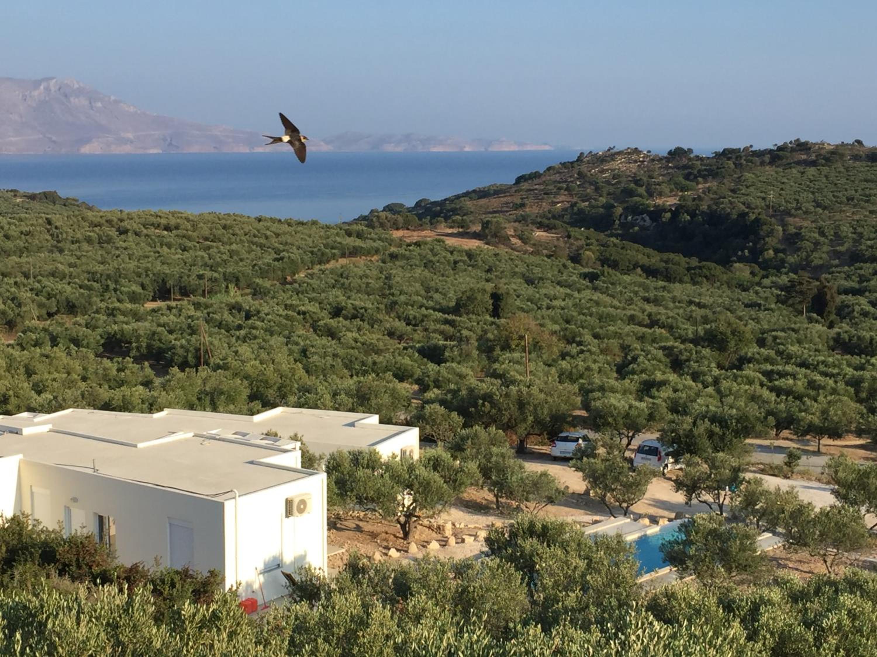 Hotel WeCrete Apartments - Image 1