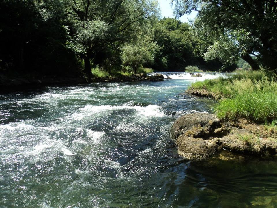 Photo 29