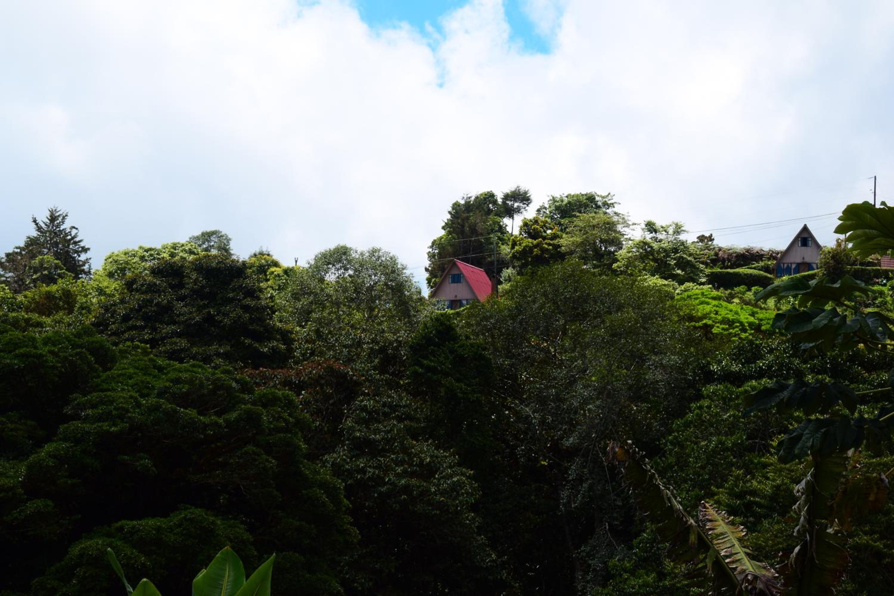 Reserva Natural Cerro Alto