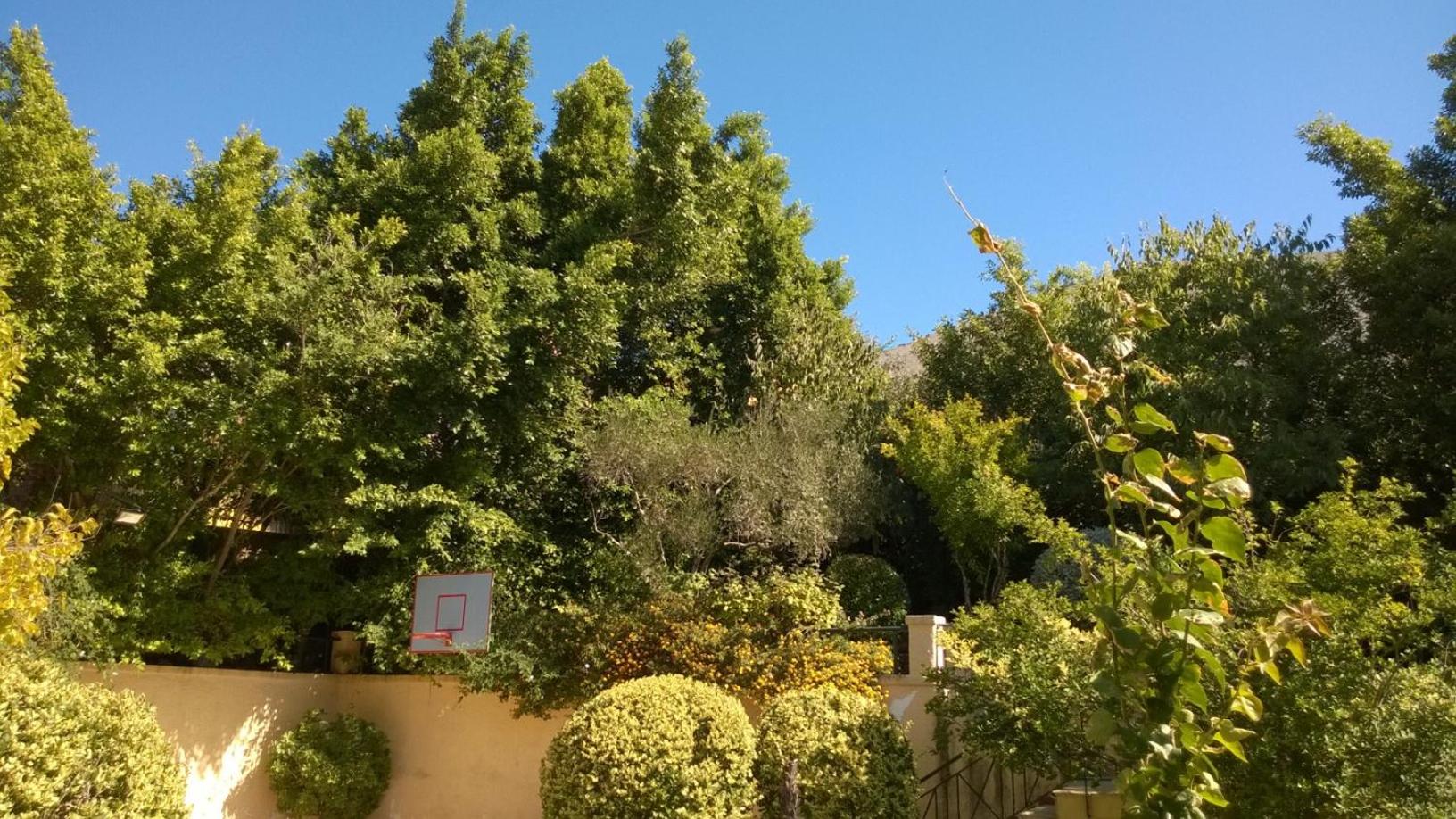 Photo 13