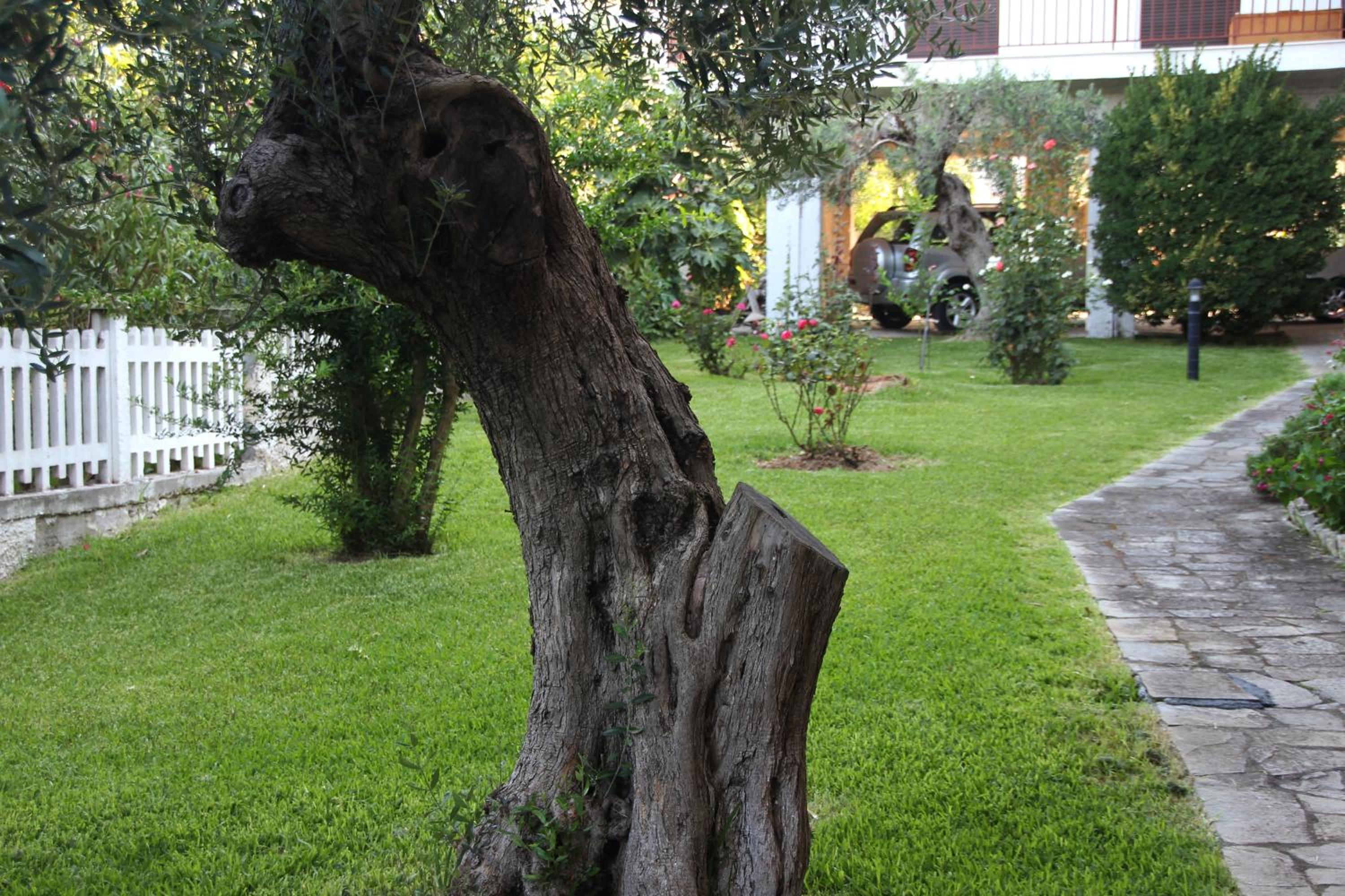 Photo 10