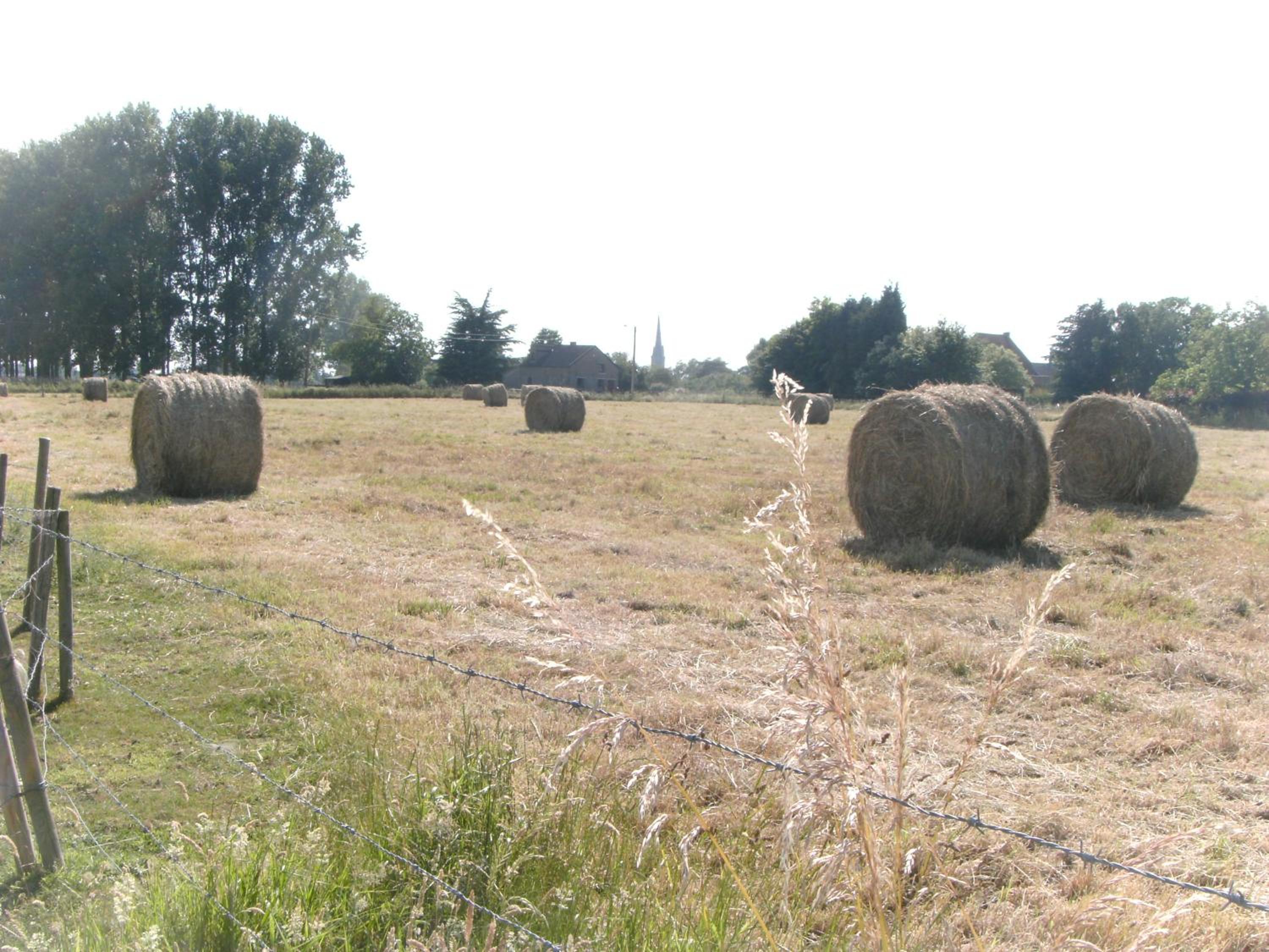 Ferme Lenfant