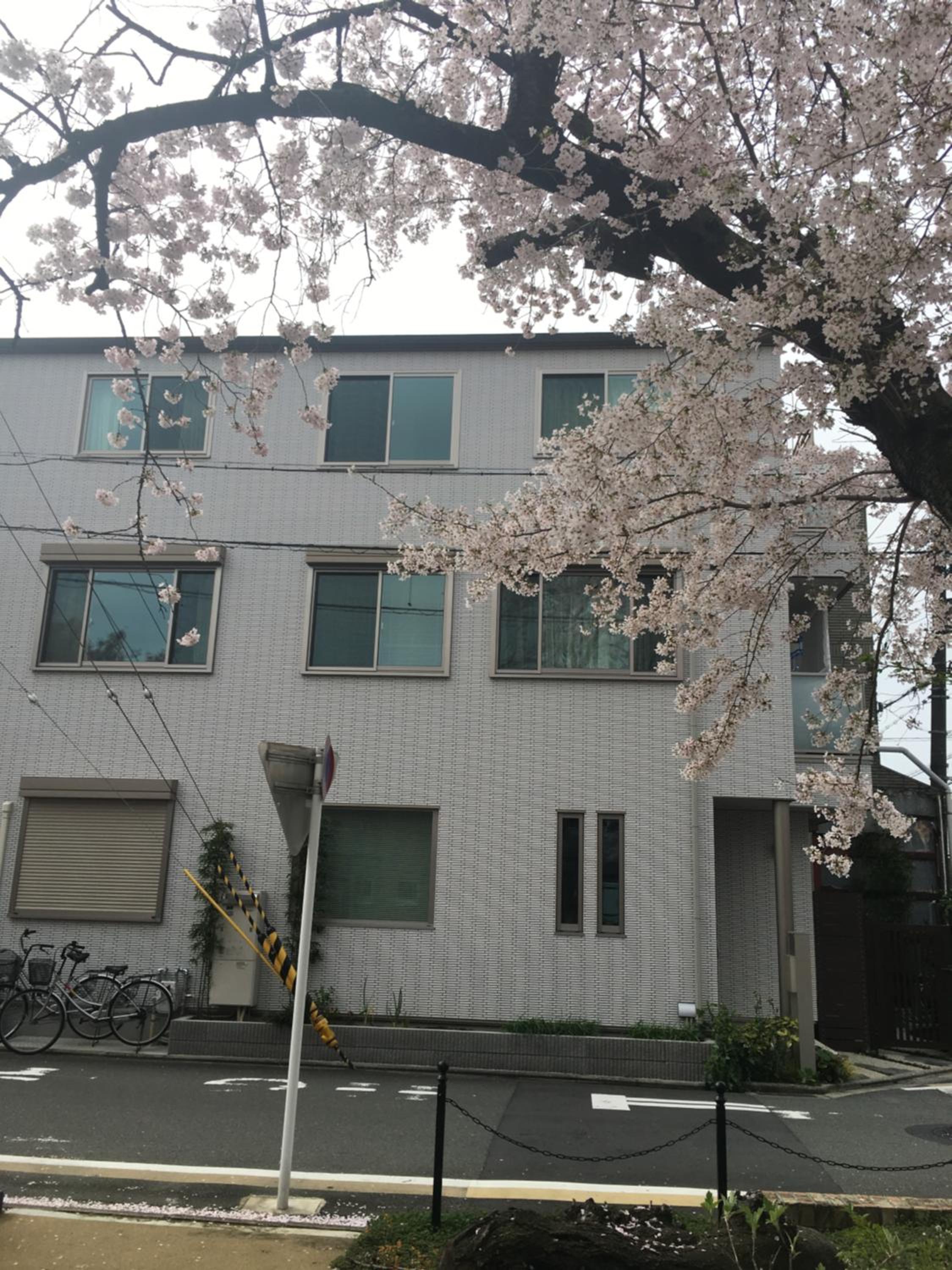 Kyoto LanLan view 2