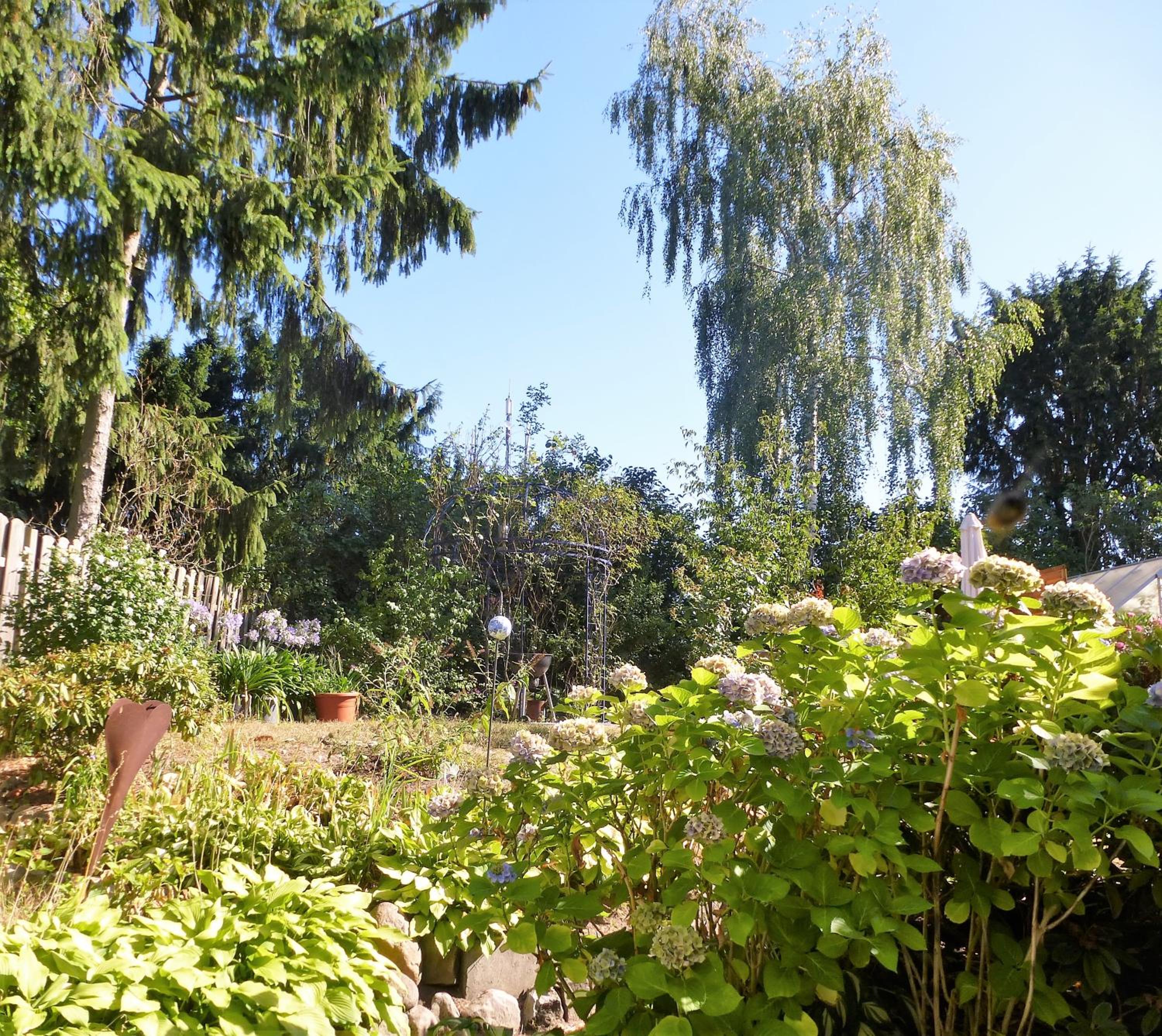 Schwalbennest view 4