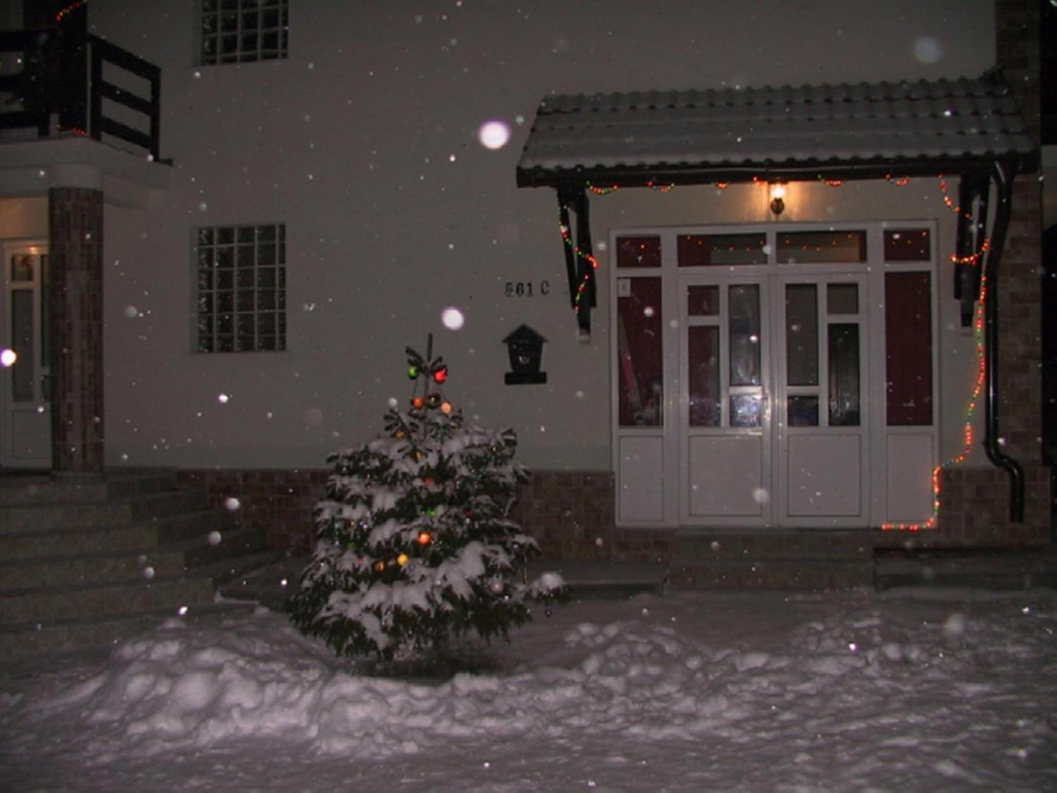 Photo 34