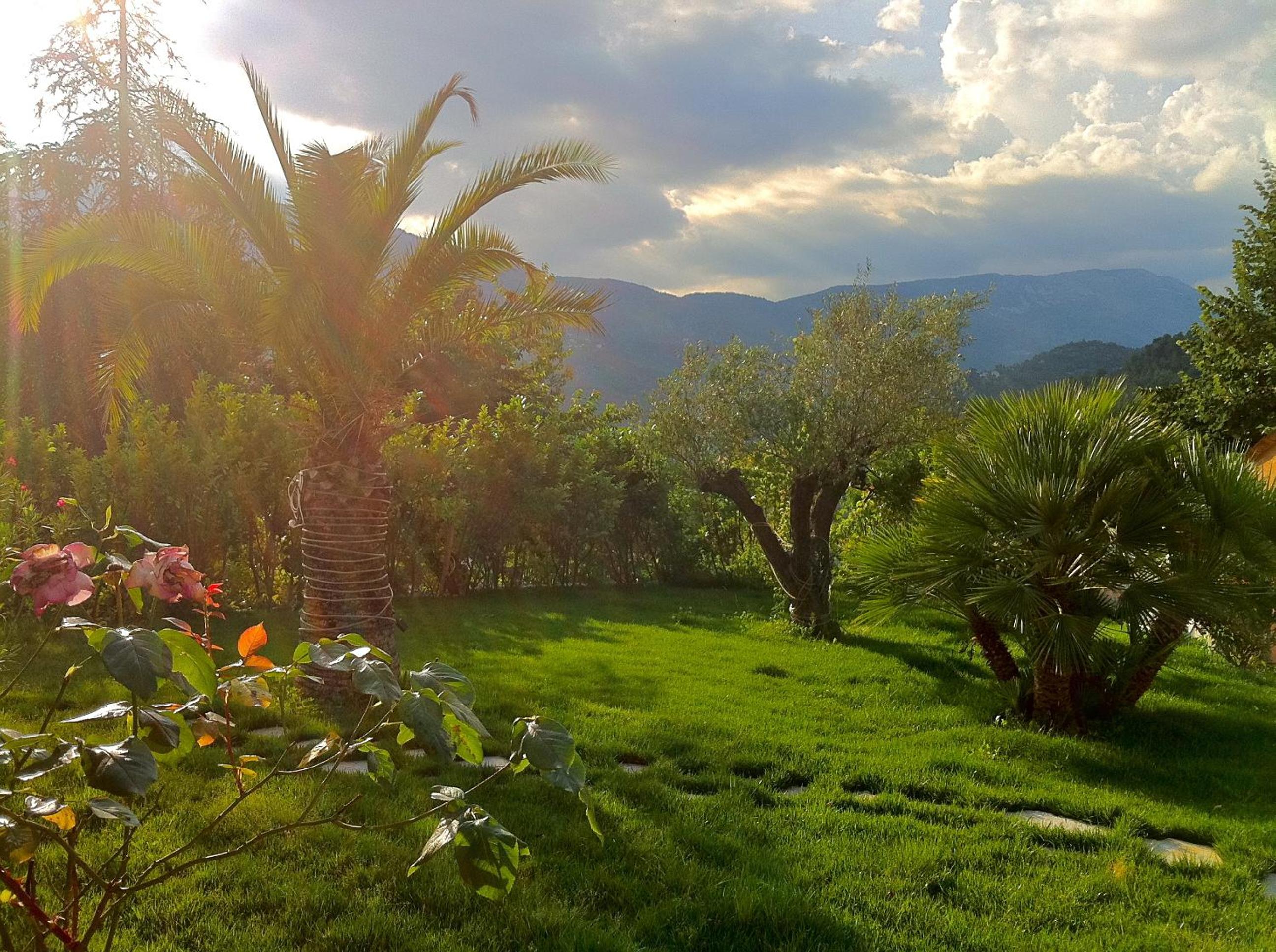garden