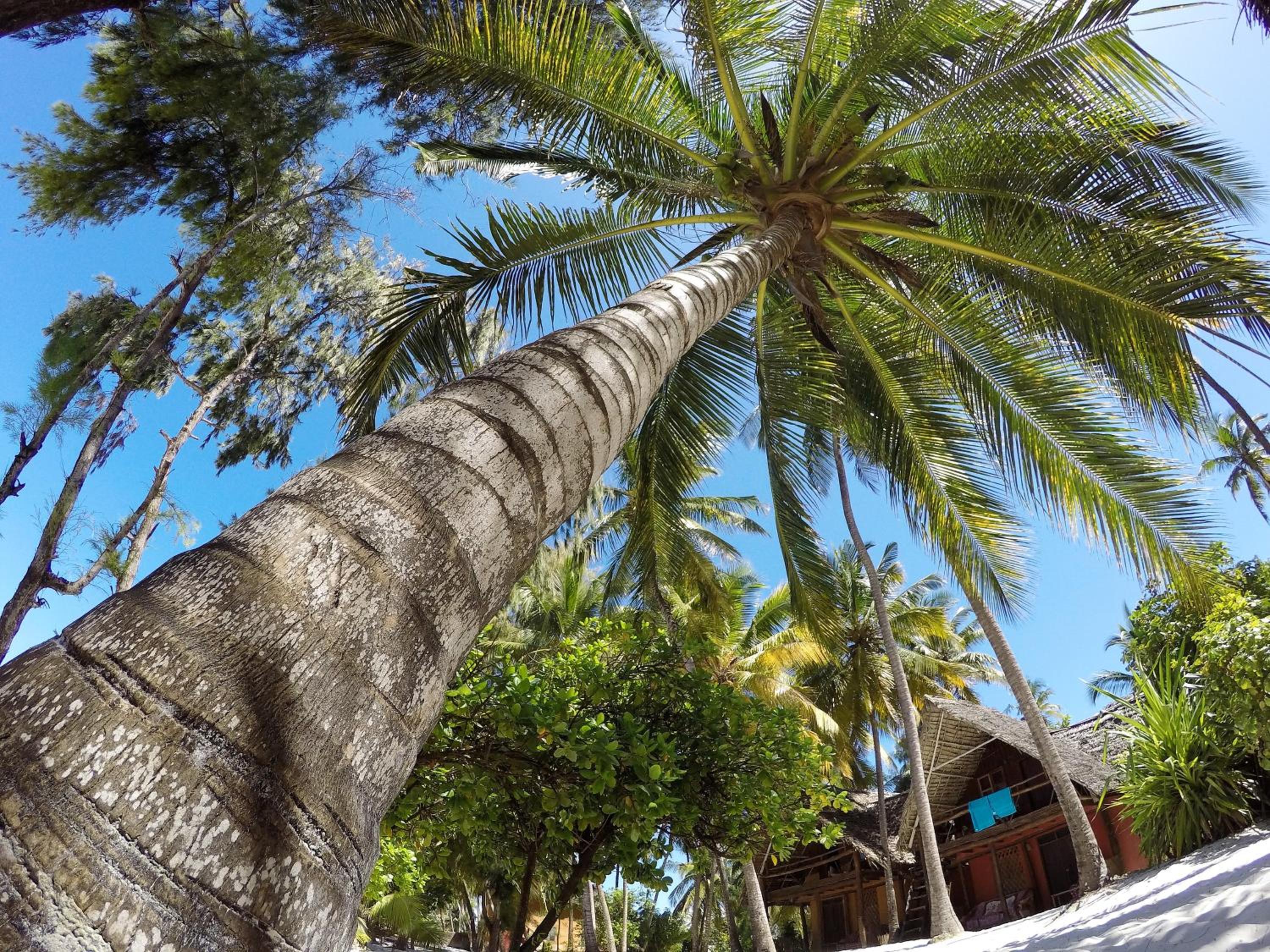 Evergreen Bungalows