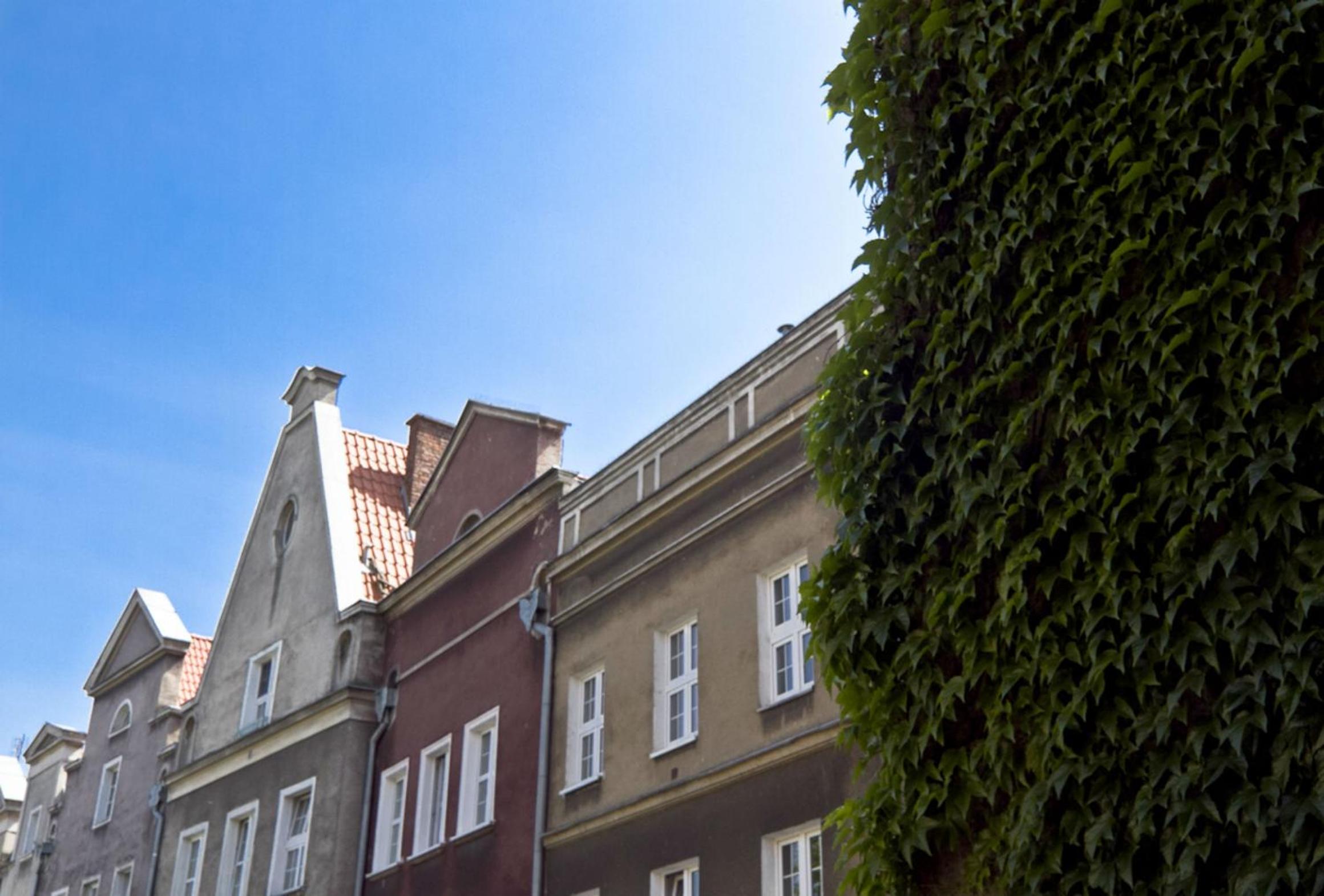 Classic Apartment with Private Sauna in Old Town view 5