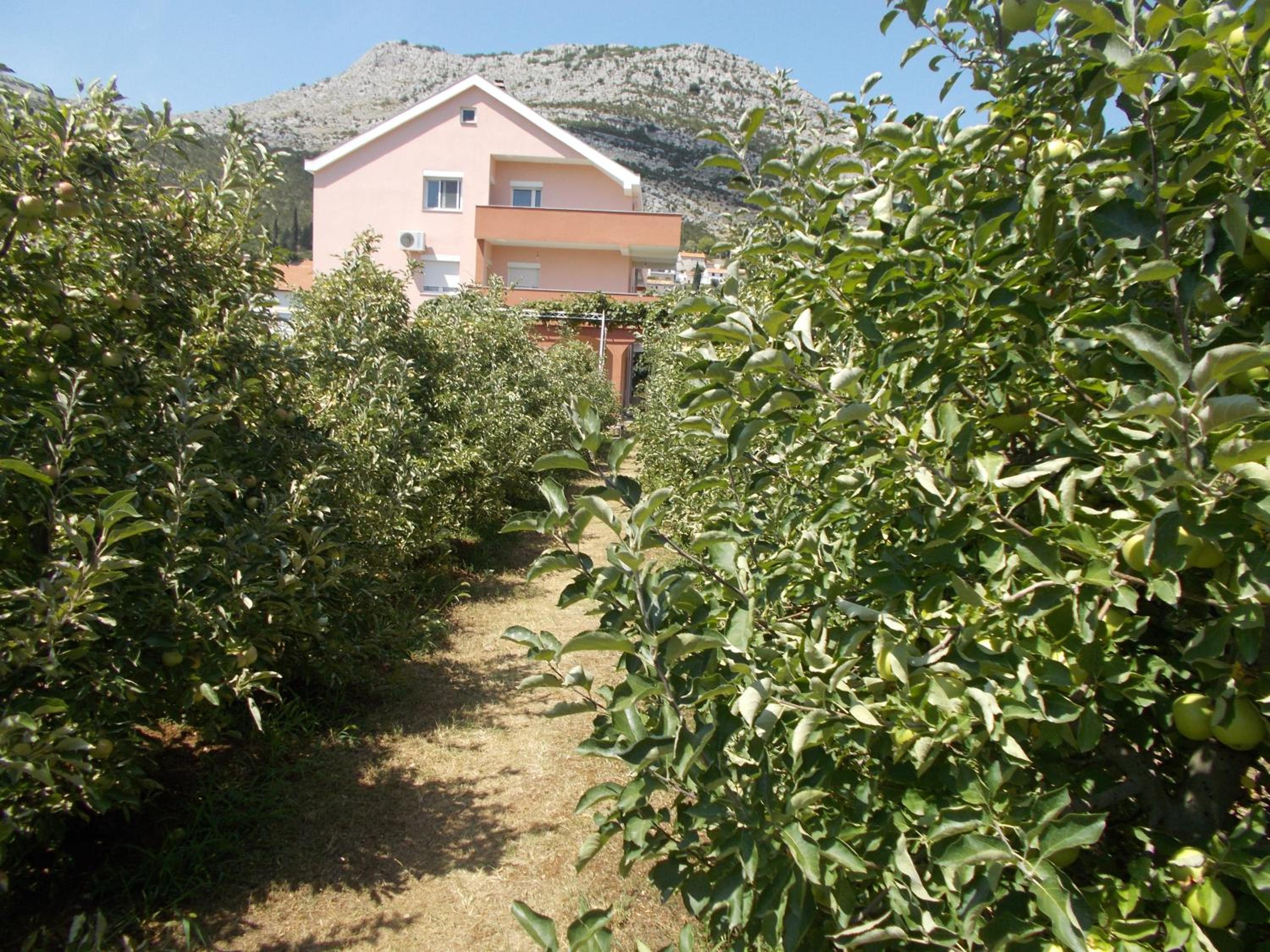 Apartmani Slađo