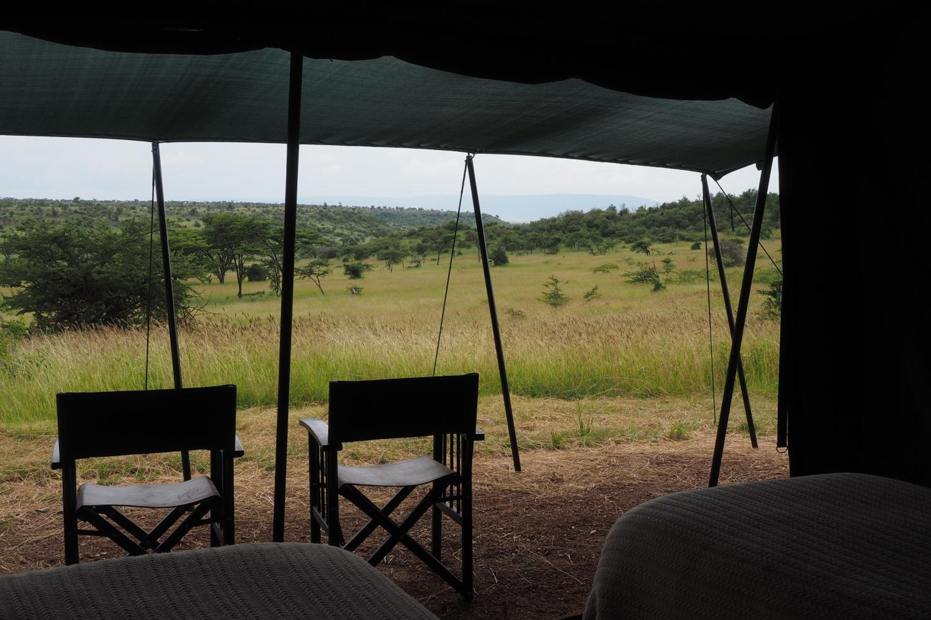 Basecamp Wilderness