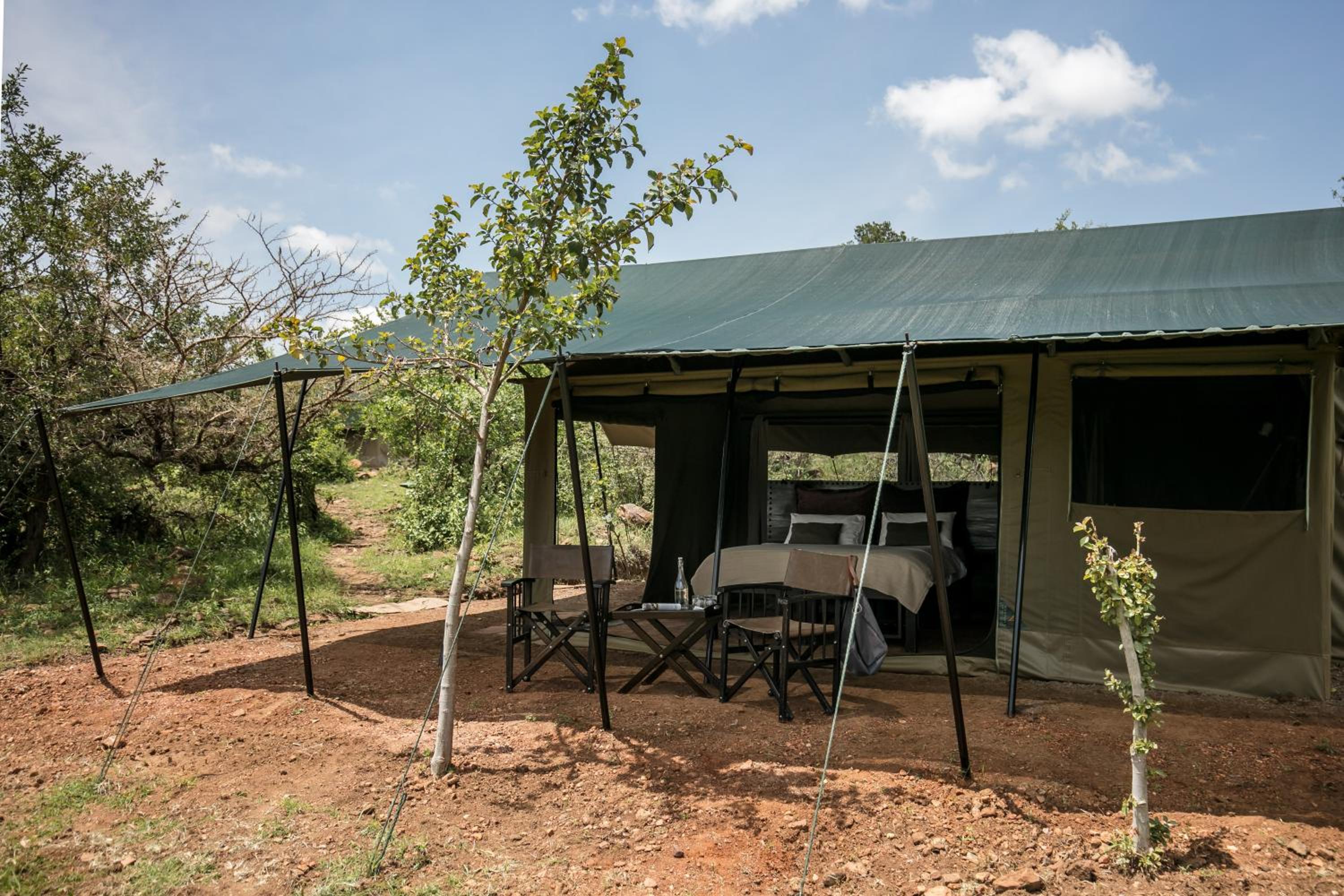 Basecamp Wilderness