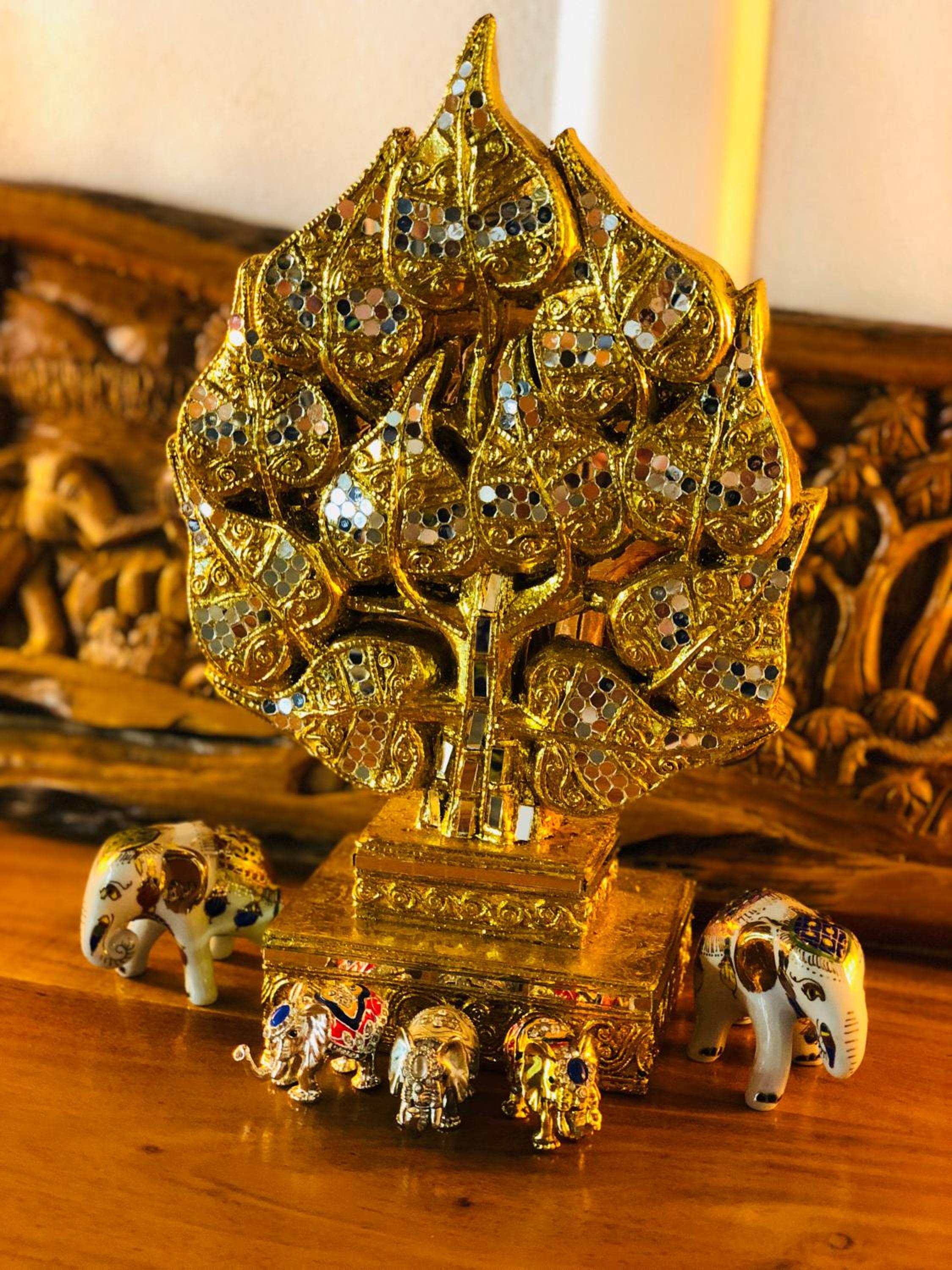 B&B Kookhai