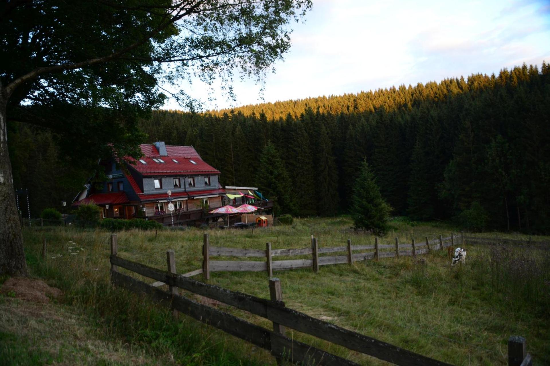 Photo 41