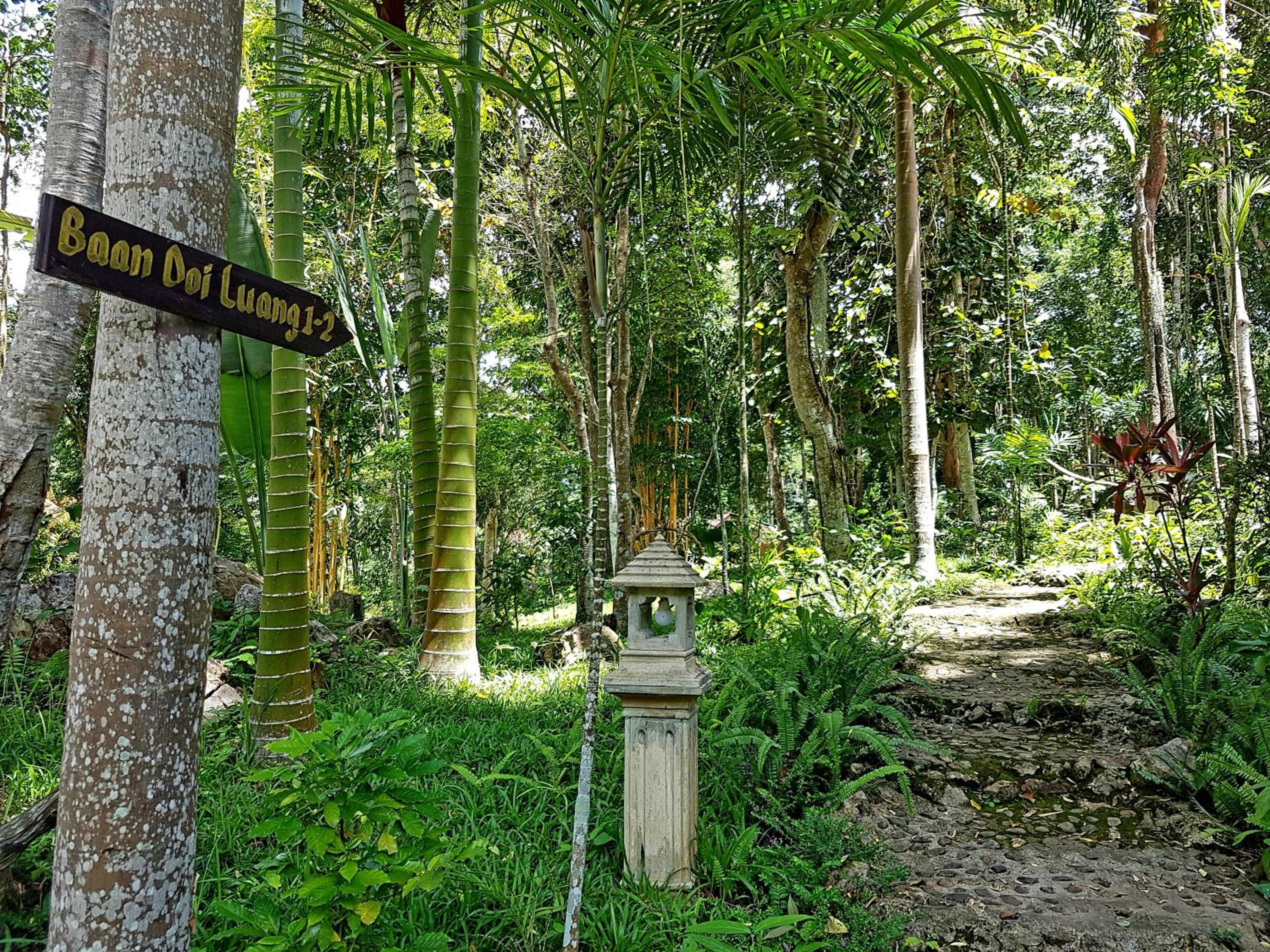Marisa Resort & Spa Chiang Dao