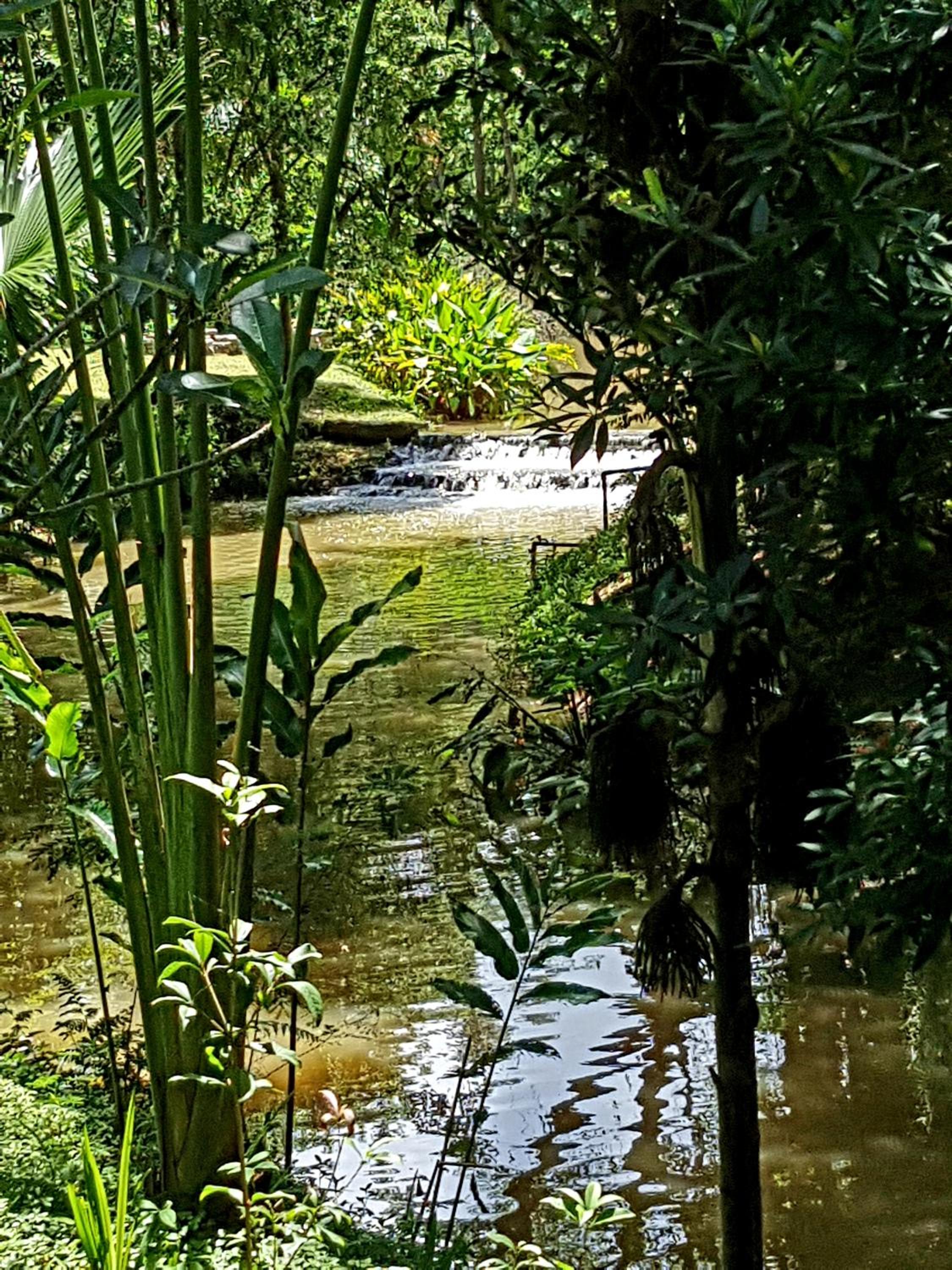 Marisa Resort & Spa Chiang Dao