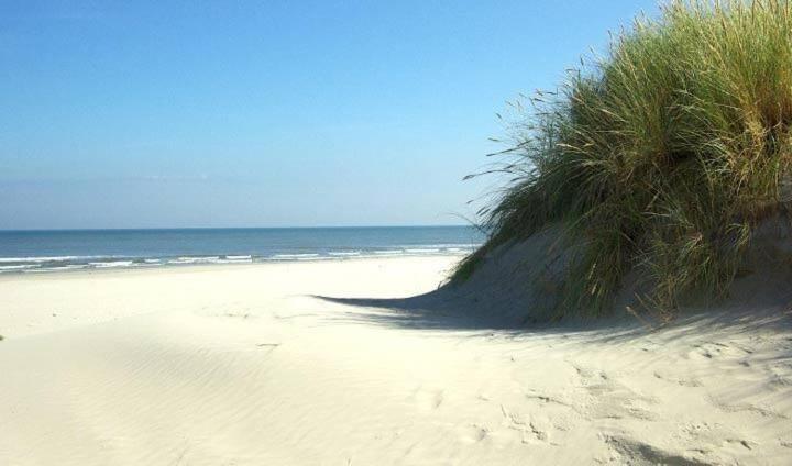 Wittegrijzeduinen view 5