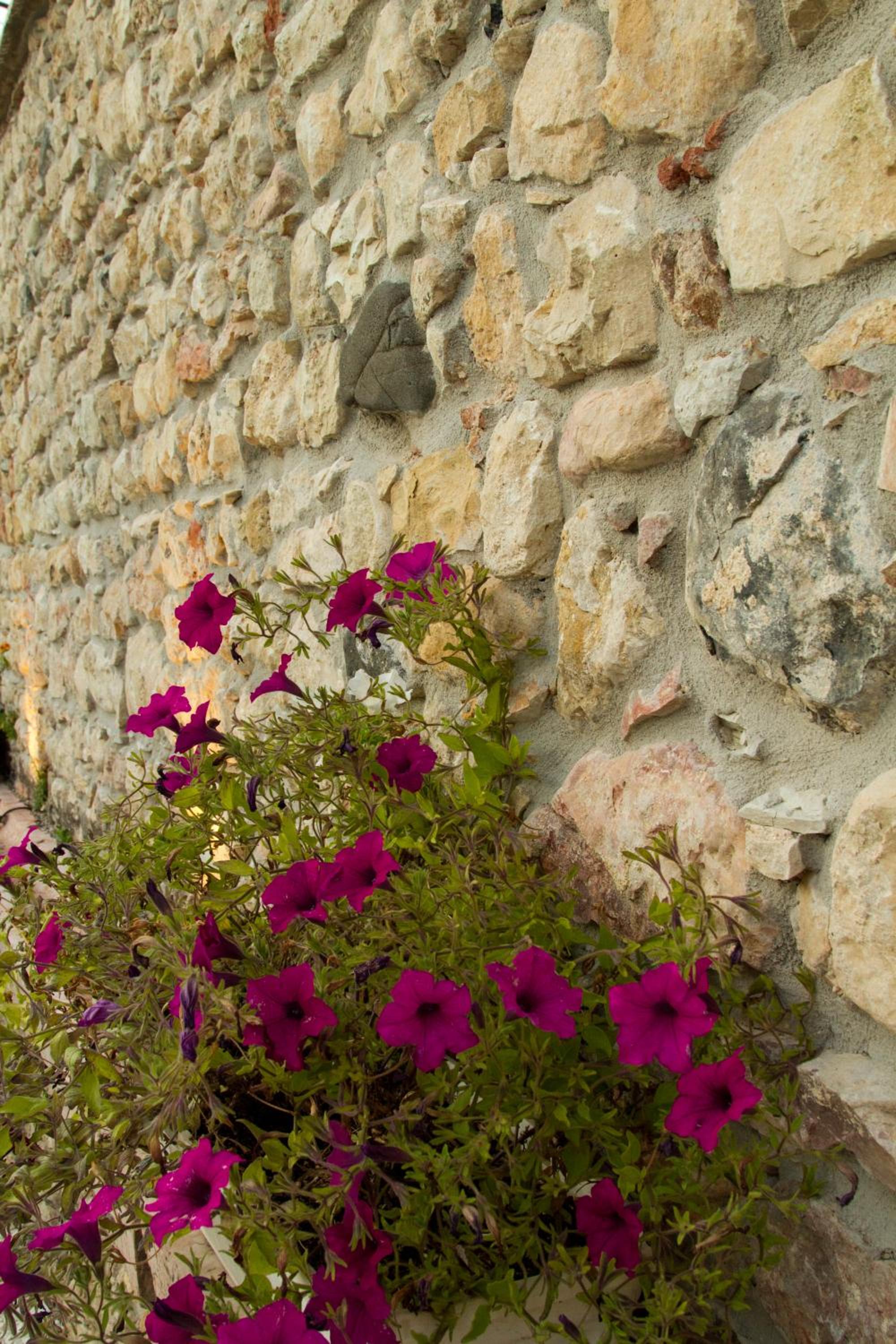 Villa di Cazzano - BioLuxury Living