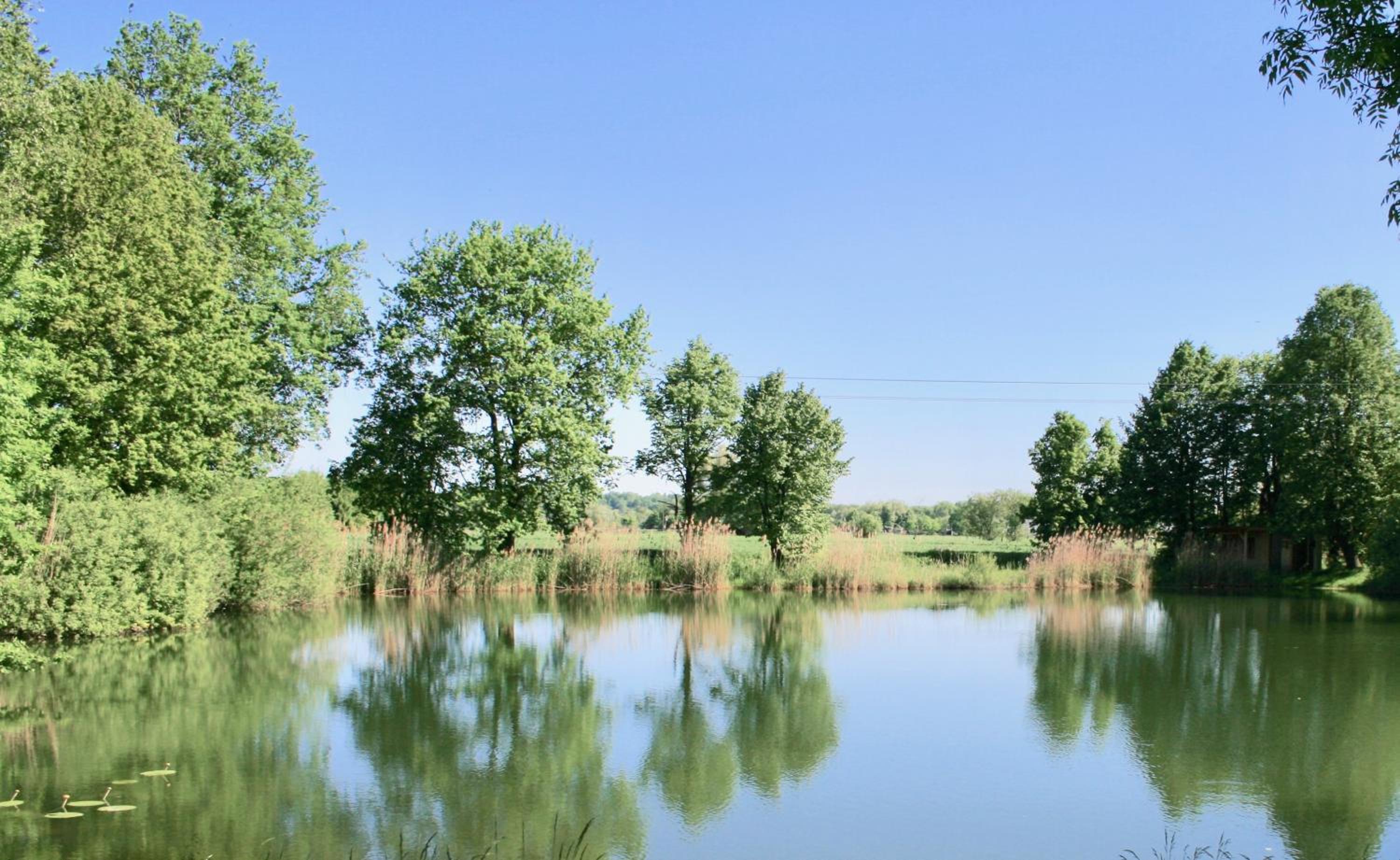 Gästehaus Gaumenflug am See