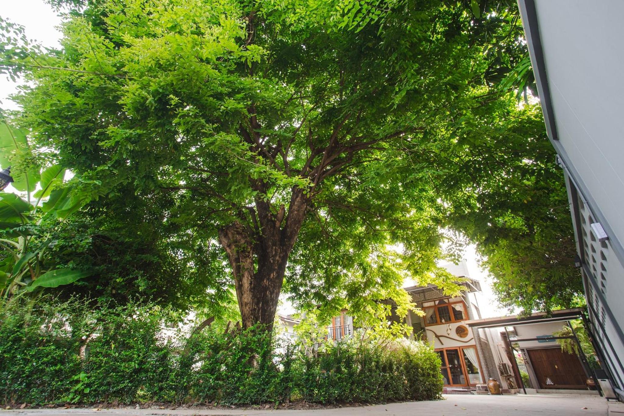 Narra House Sukhumvit58
