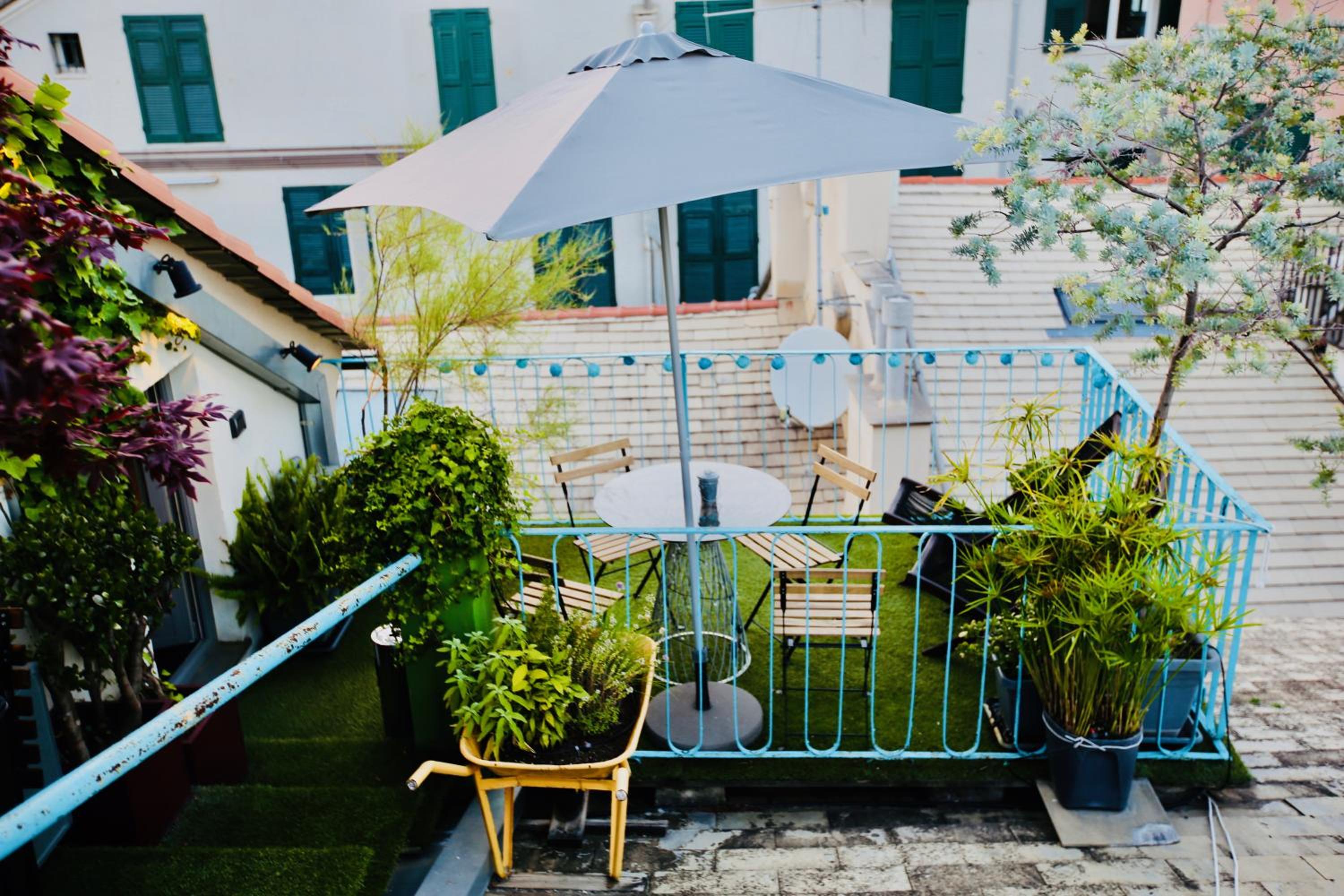 balance & terrace