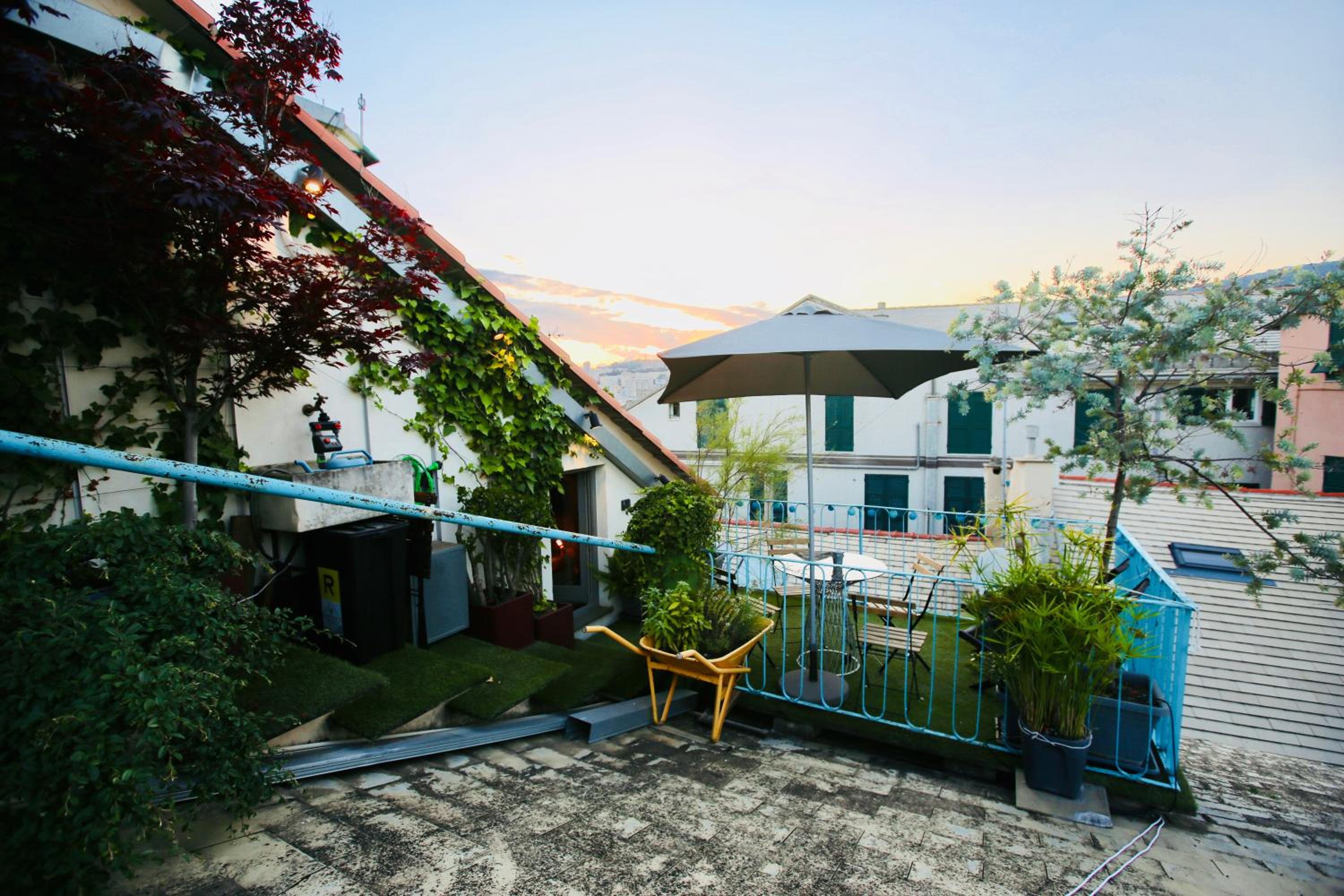 balance & terrace