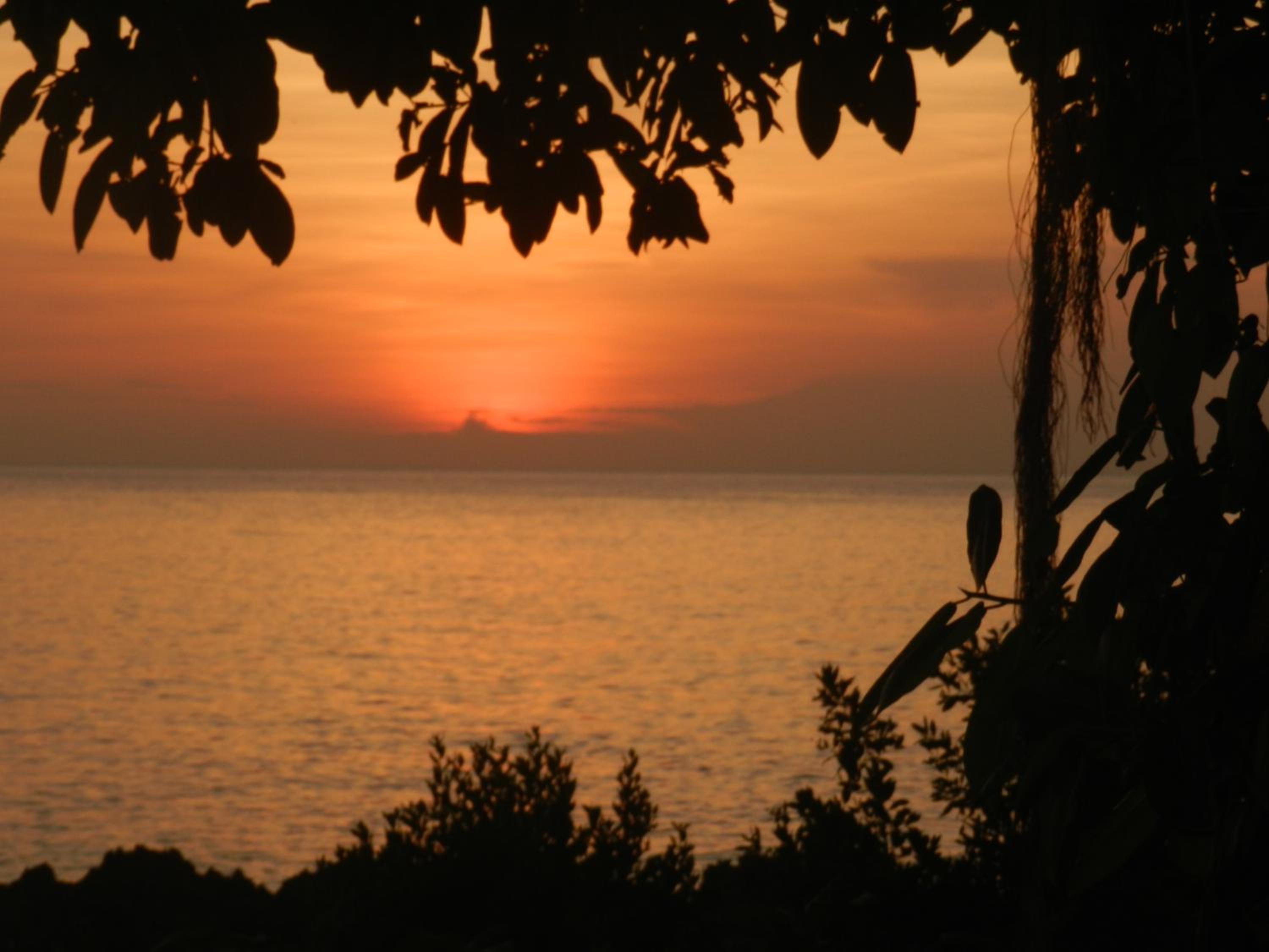 Ocean View Sai