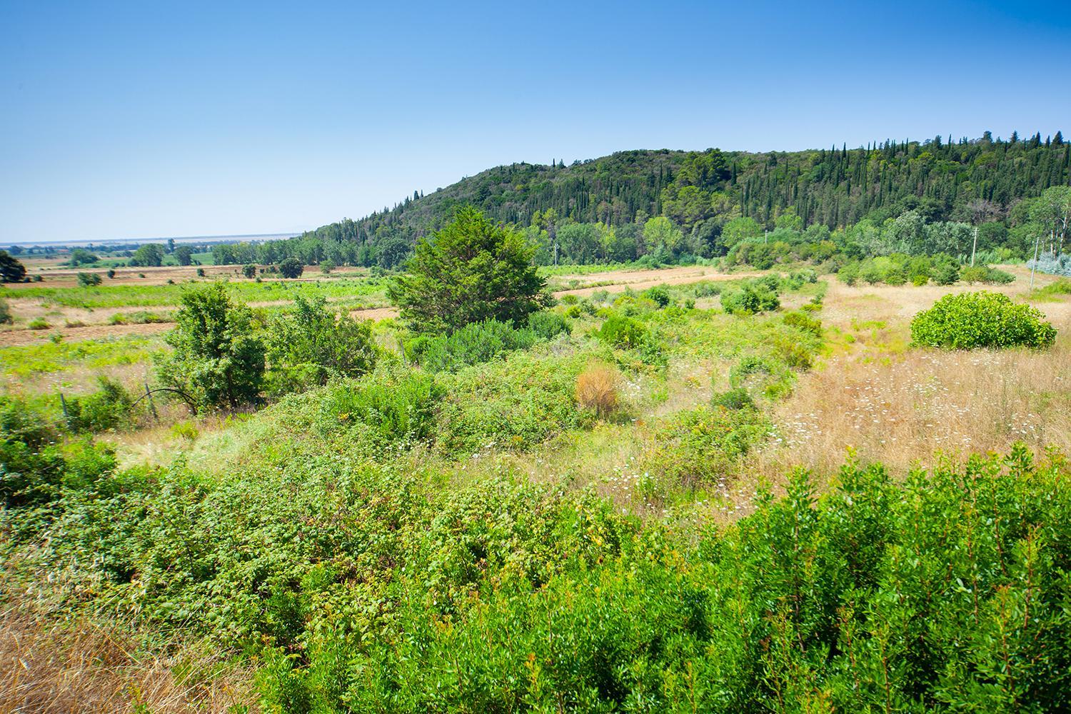Poggio Mariett