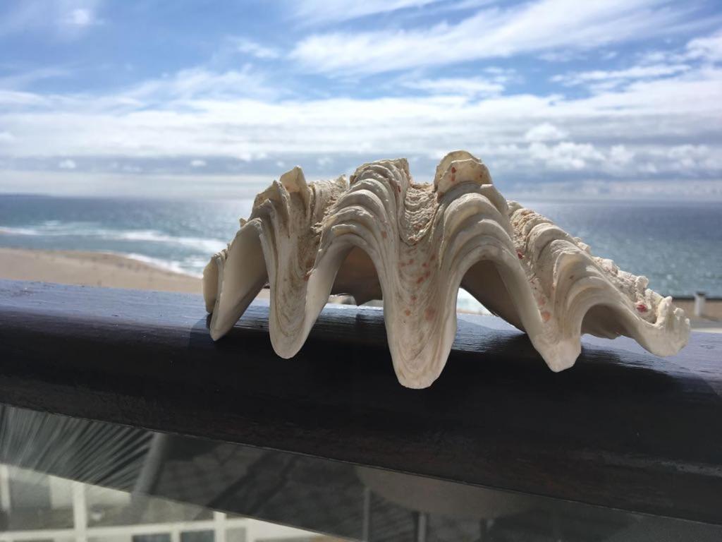 Salty House - Casa Salgada