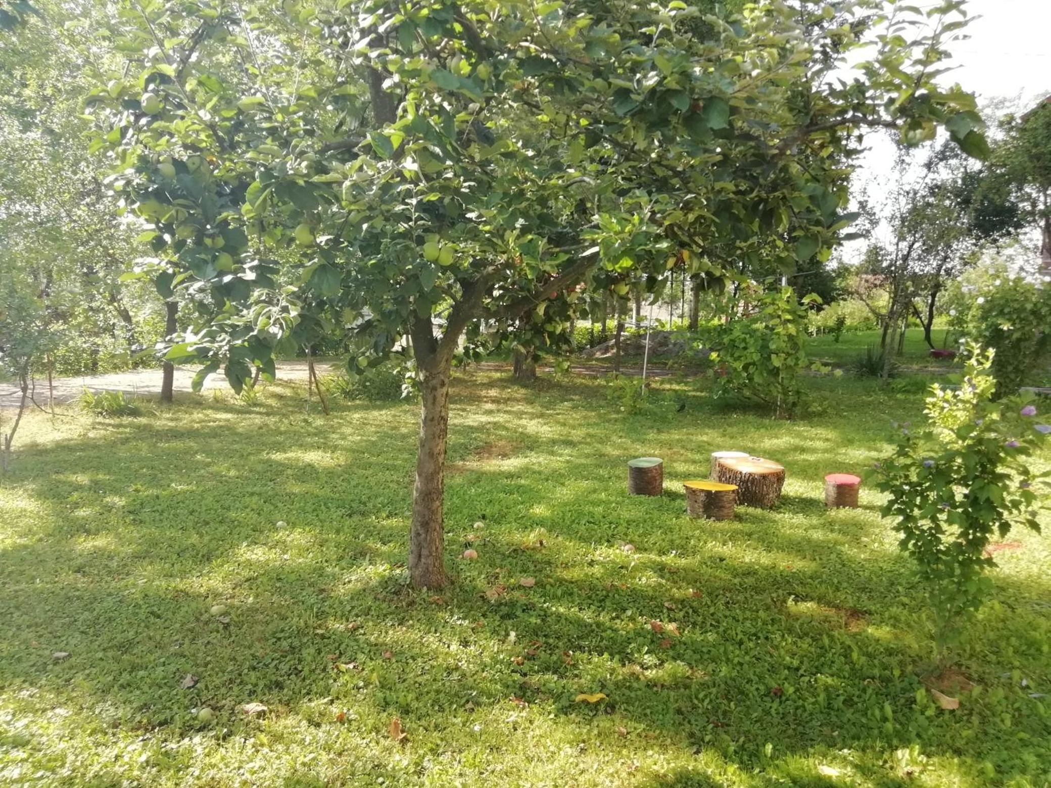 Photo 21