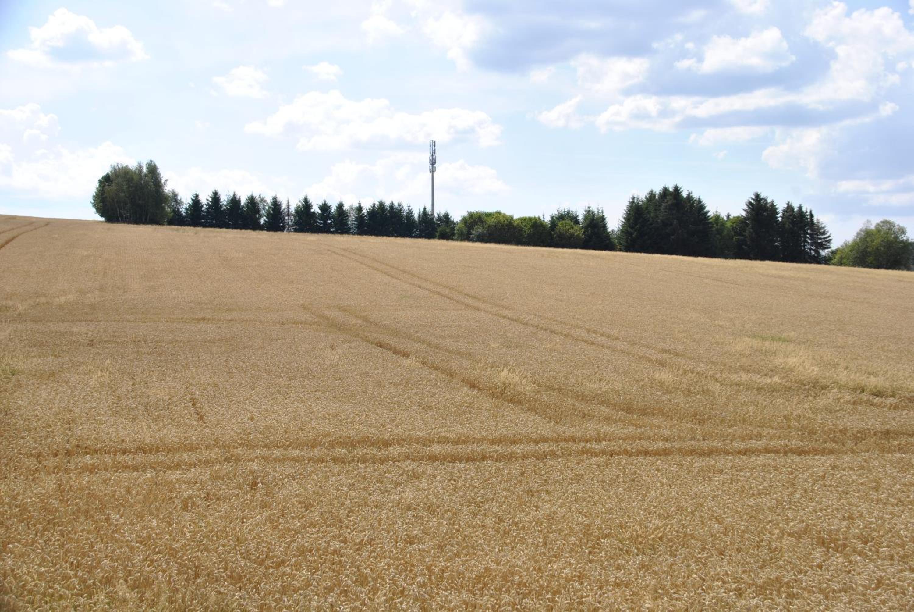 FeWo am Pochwerk-Badeteich - Property Image 9