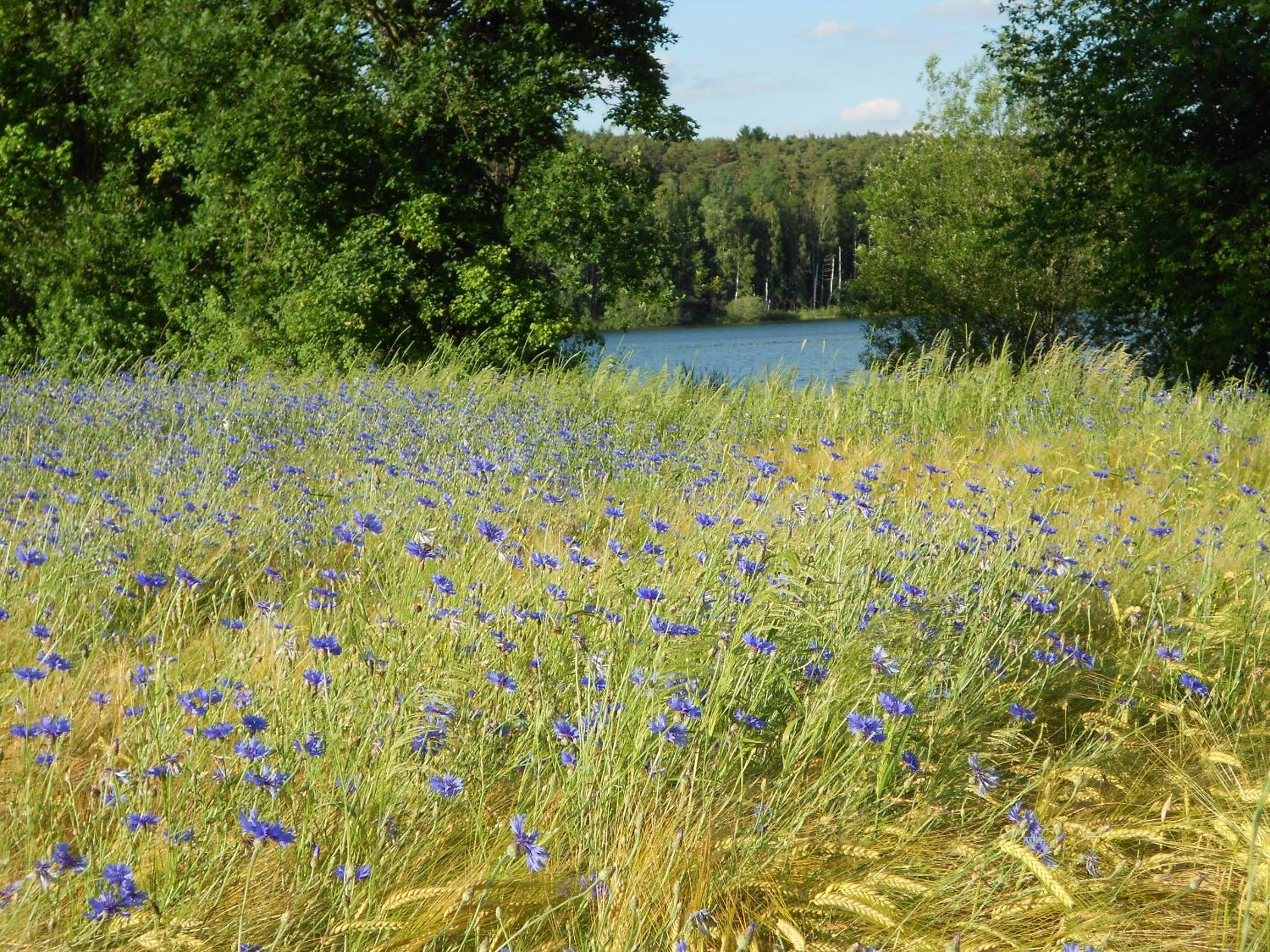 Ferienwohnungen Ströhlein view 5