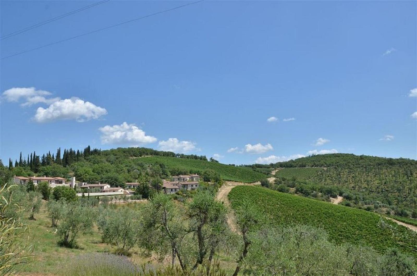 Mietitore a Montefiorile view 3