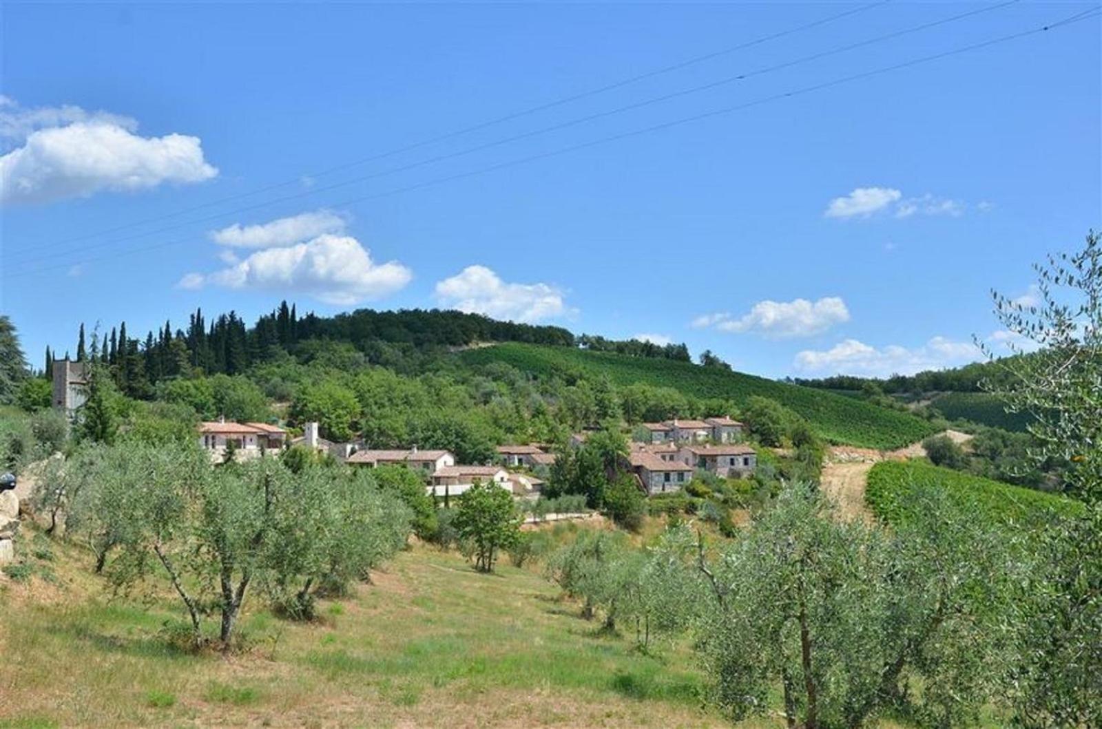 Mietitore a Montefiorile view 4