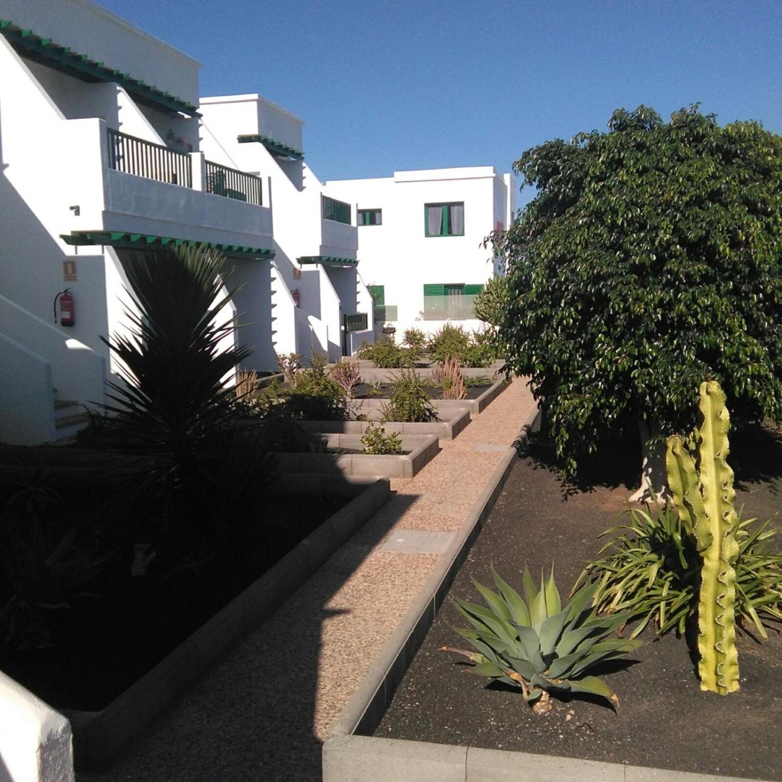 Las Mimosas